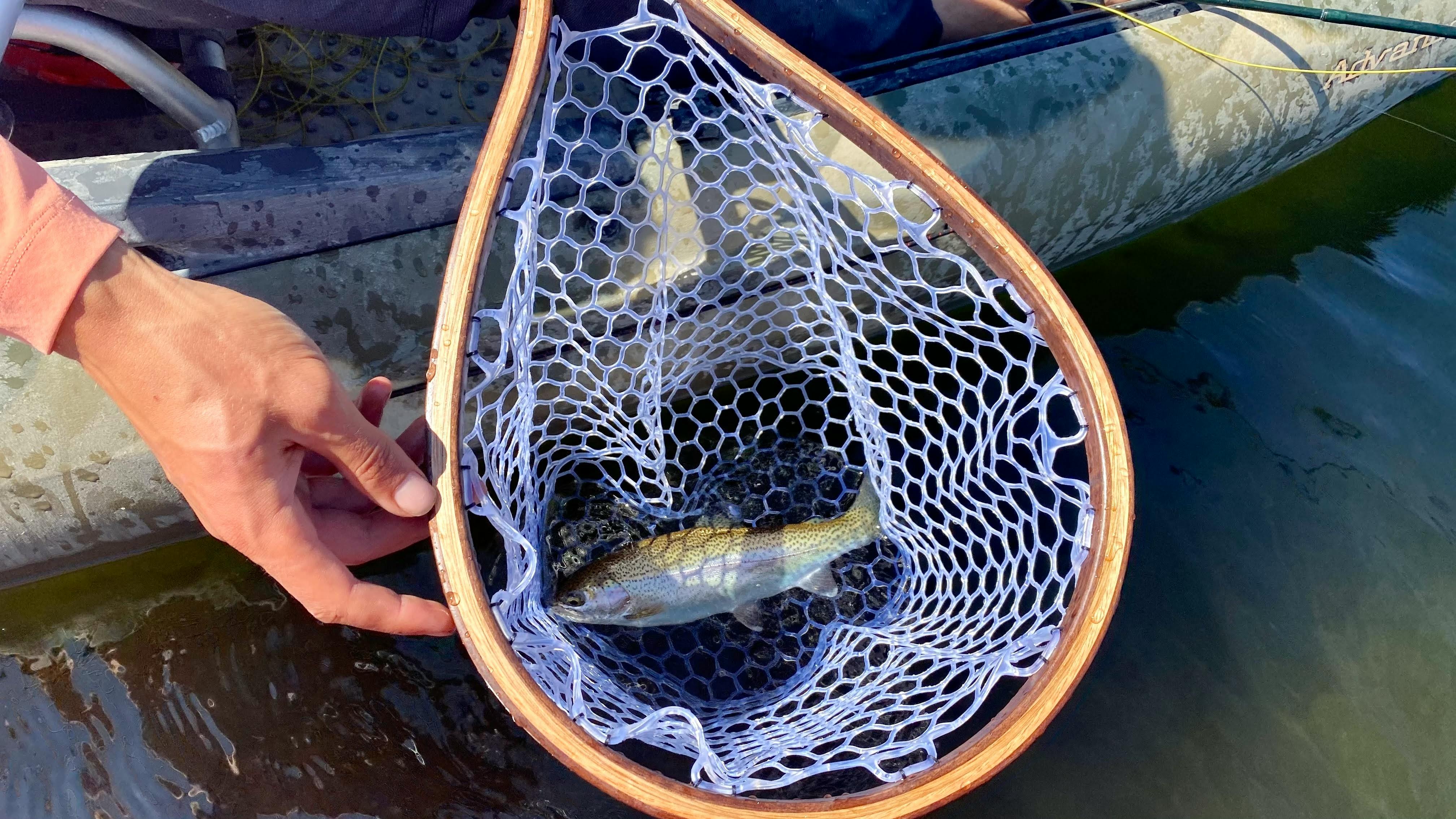 Ultra Light Outdoor Fish Tool Dip Net Fishing Nets Fly Fishing