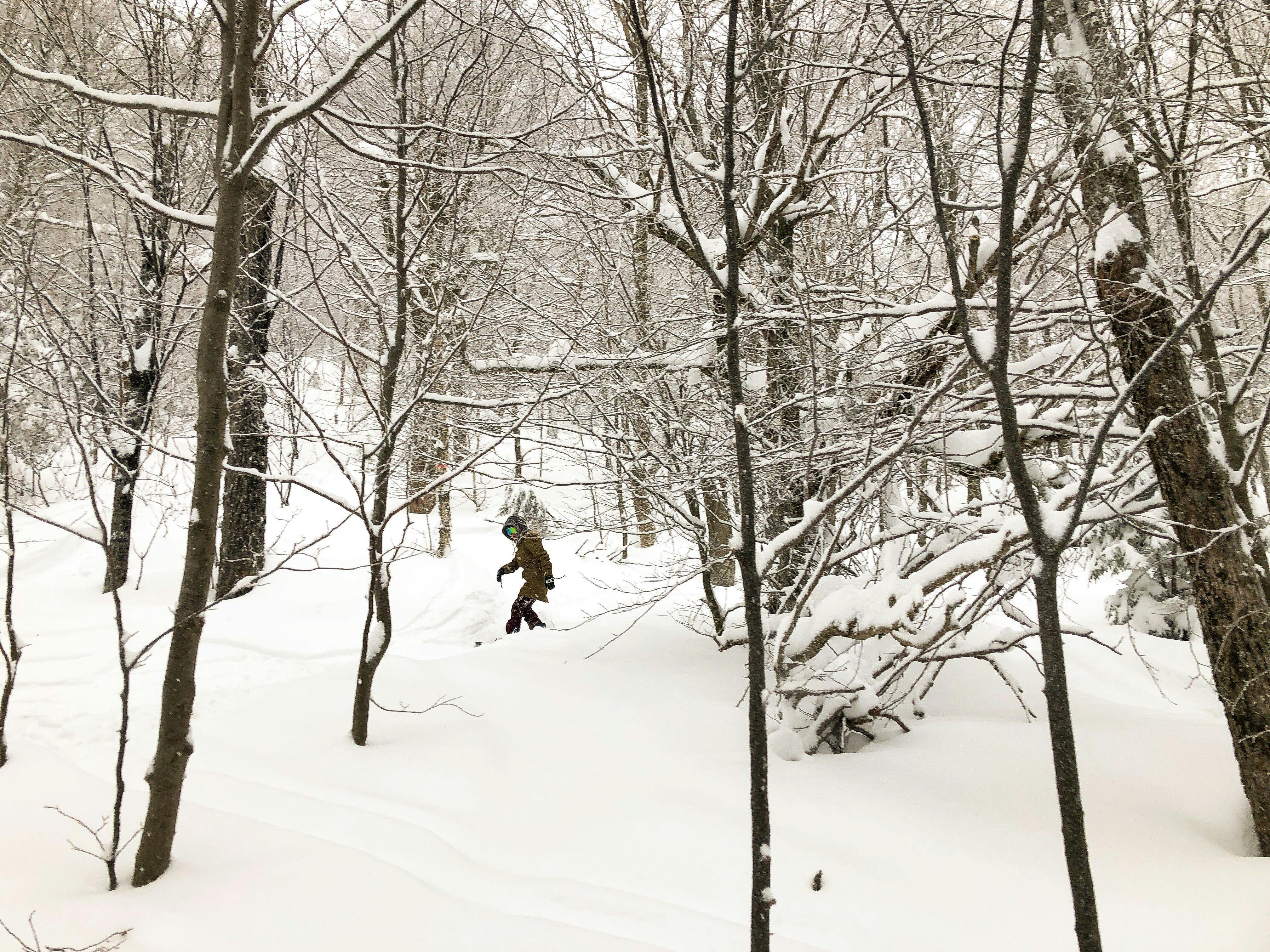 A snowboarder riding down through a forest.