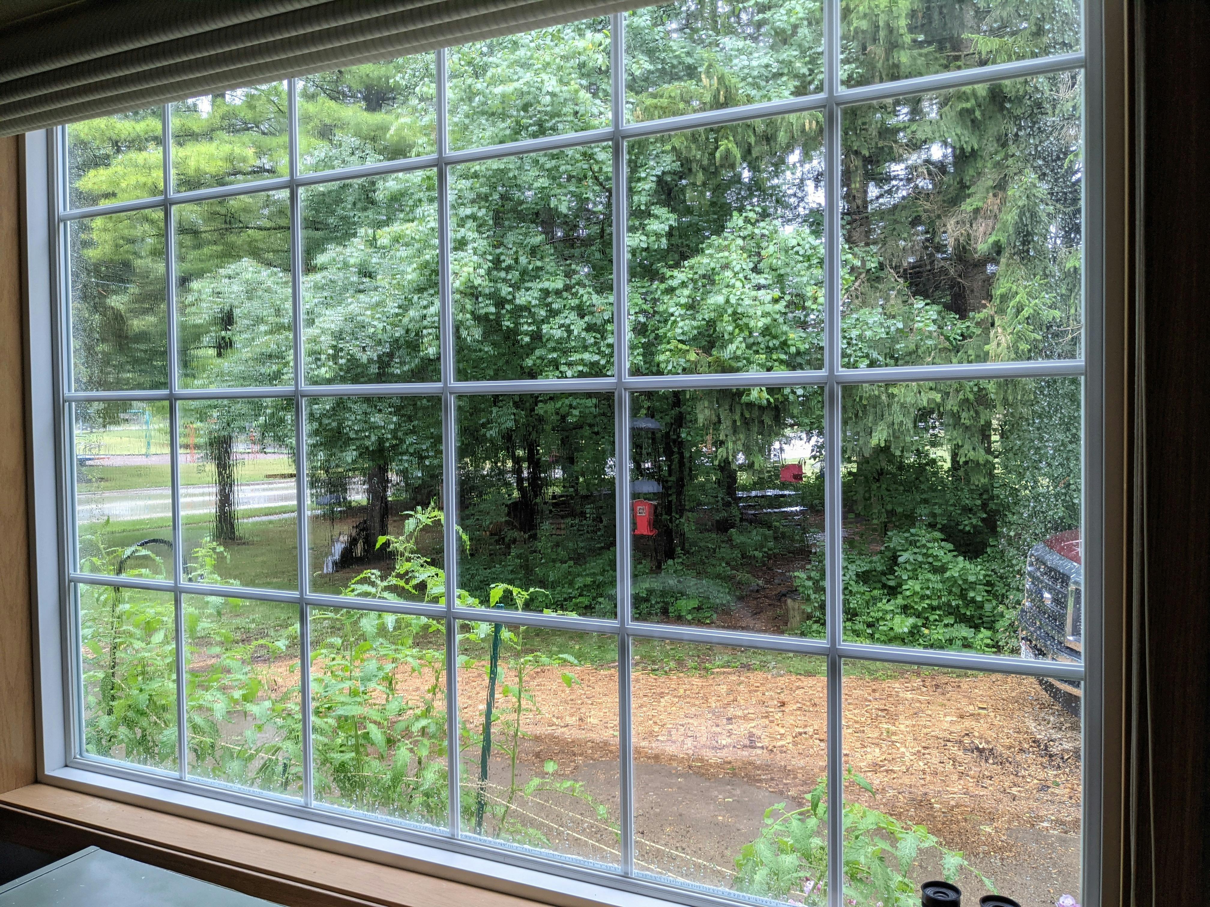 A view out an open window with many green trees outside.