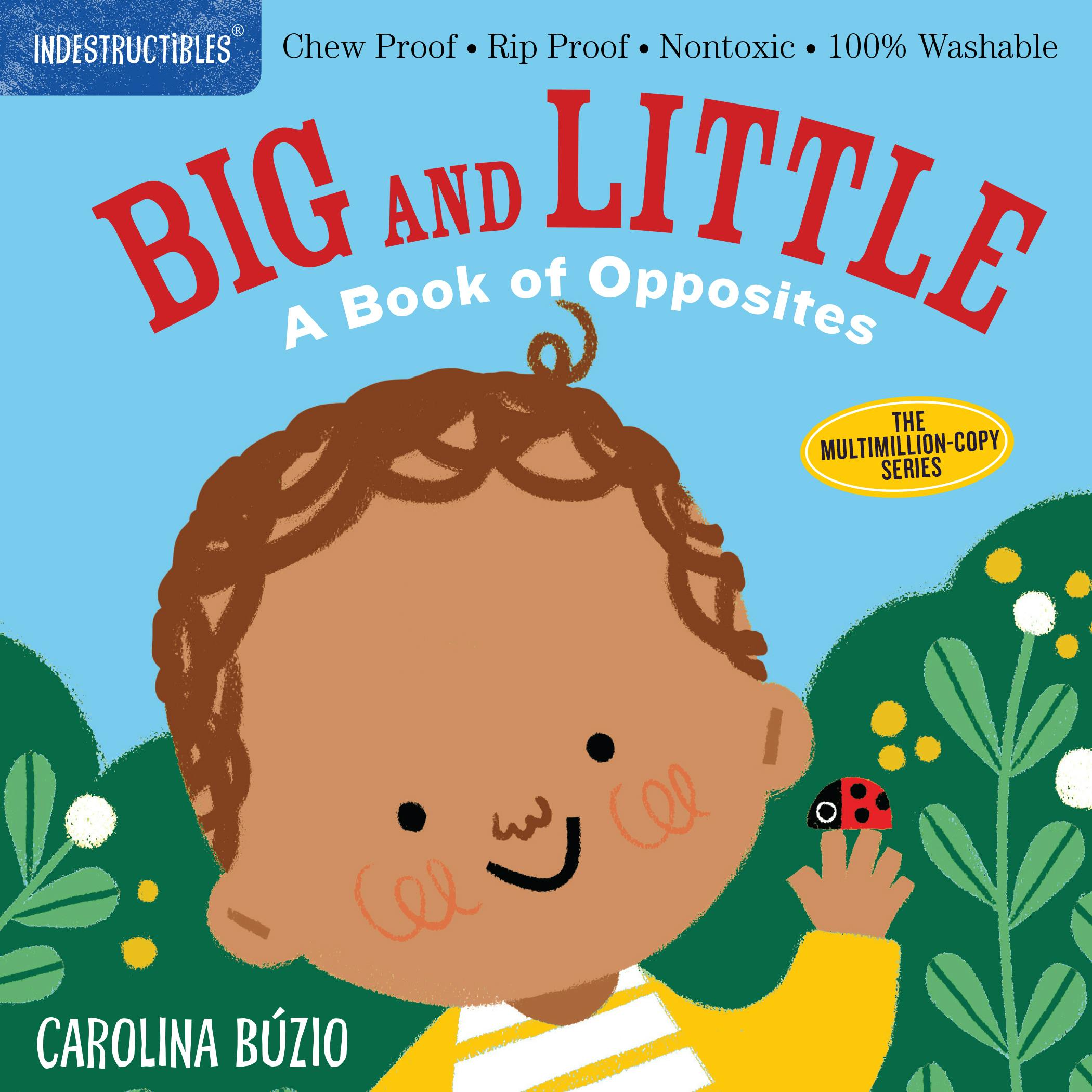 Workman Publishing Indestructibles: Big and Little by Carolina Búzio