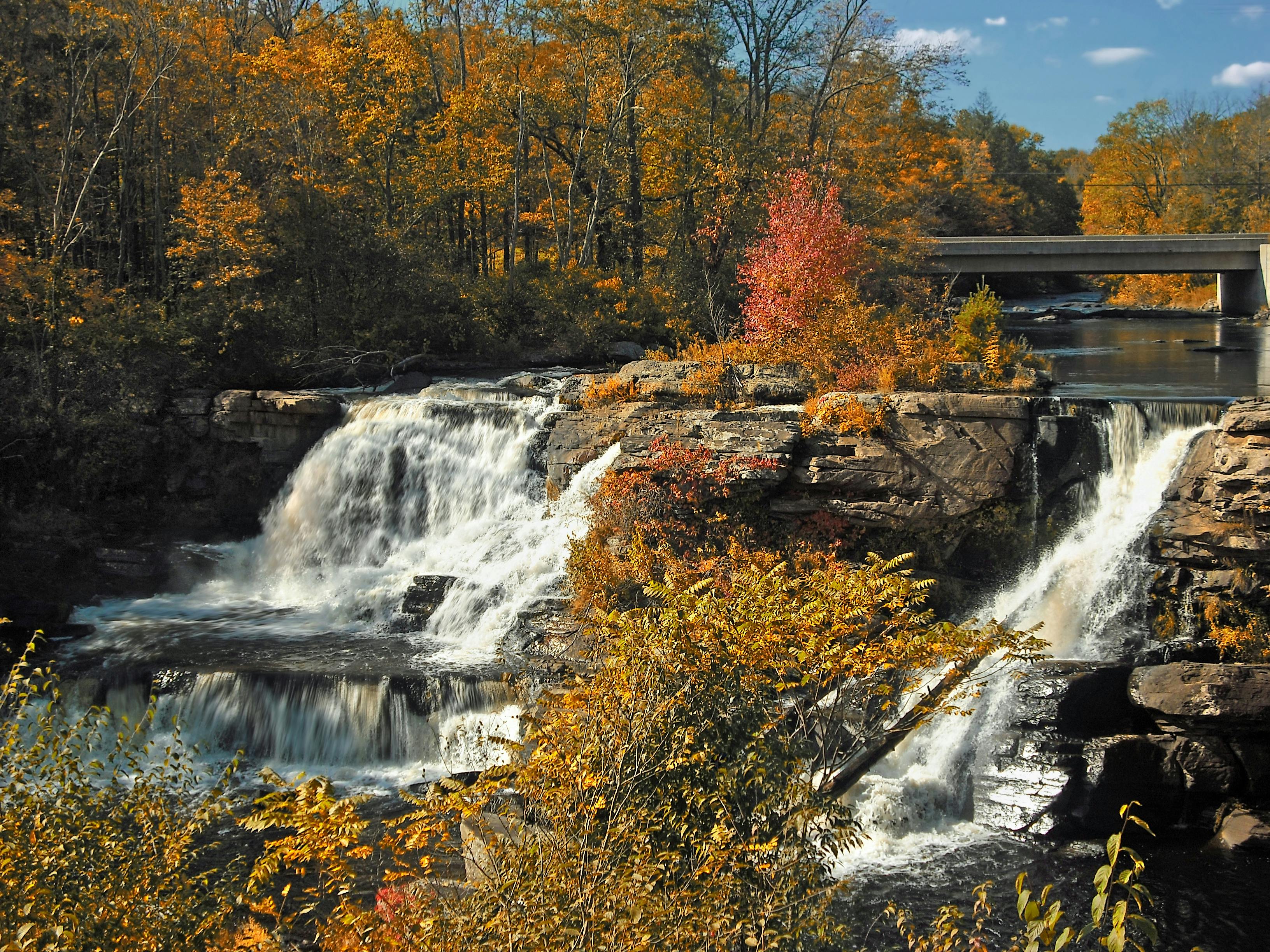 A waterfall on Big Bushkill Creek. There are several trees around with yellow and orange leaves.
