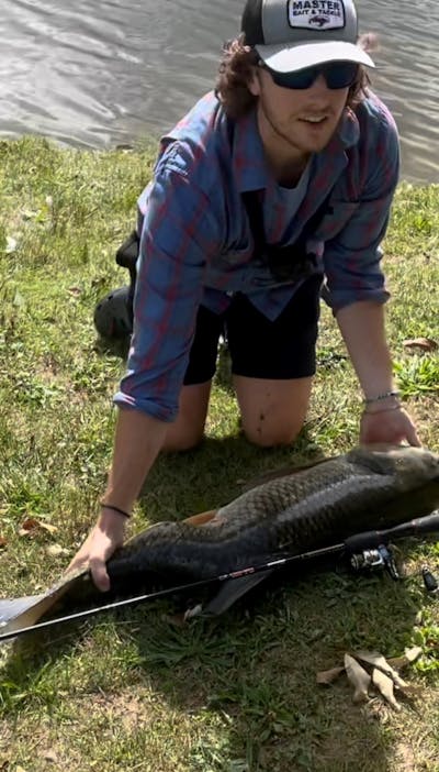 A big fish lying next to the  Shakespeare Ugly Stik GX2 Spinning Rod on the grass. 