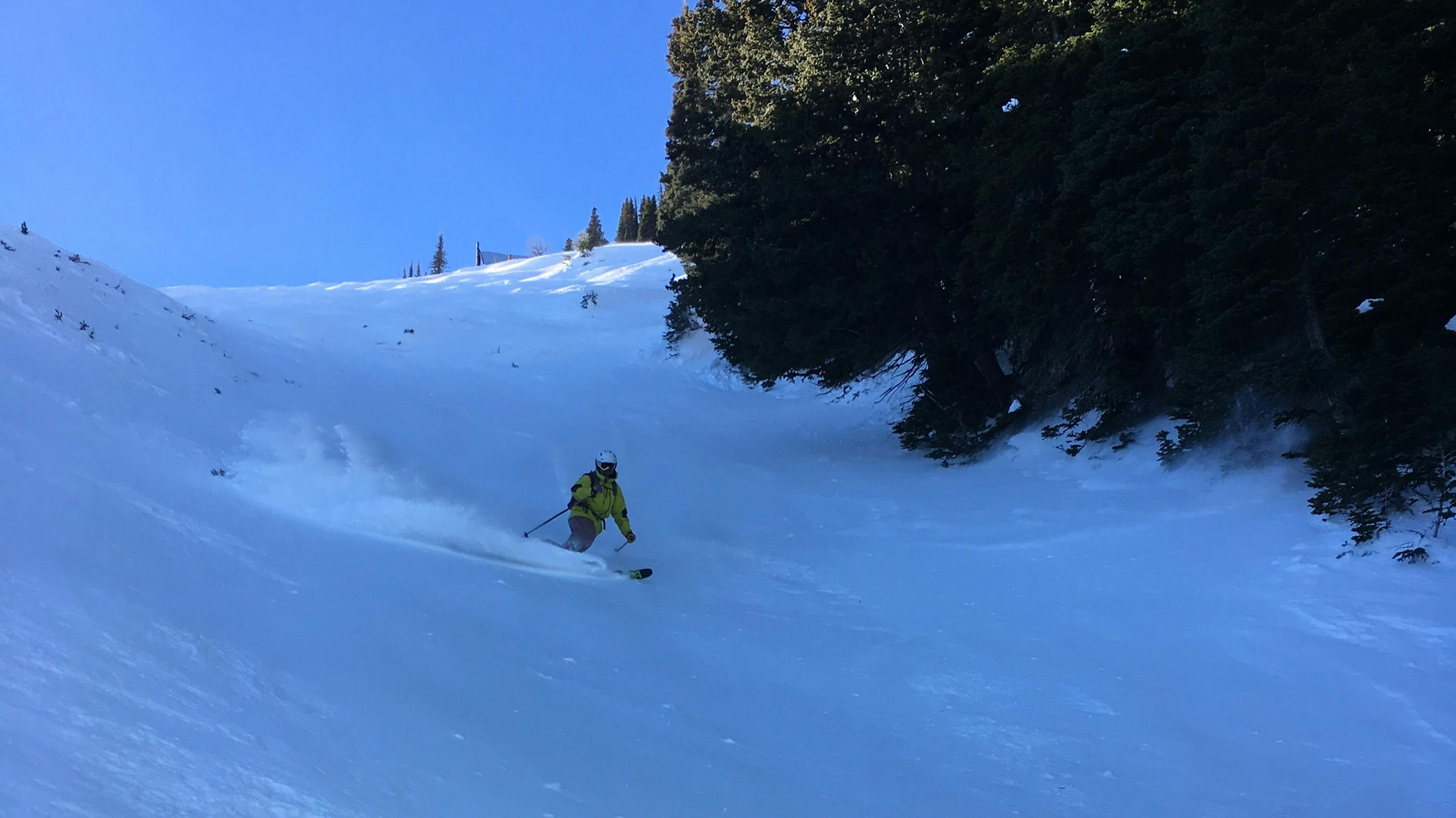 A skier makes his way down a shady run