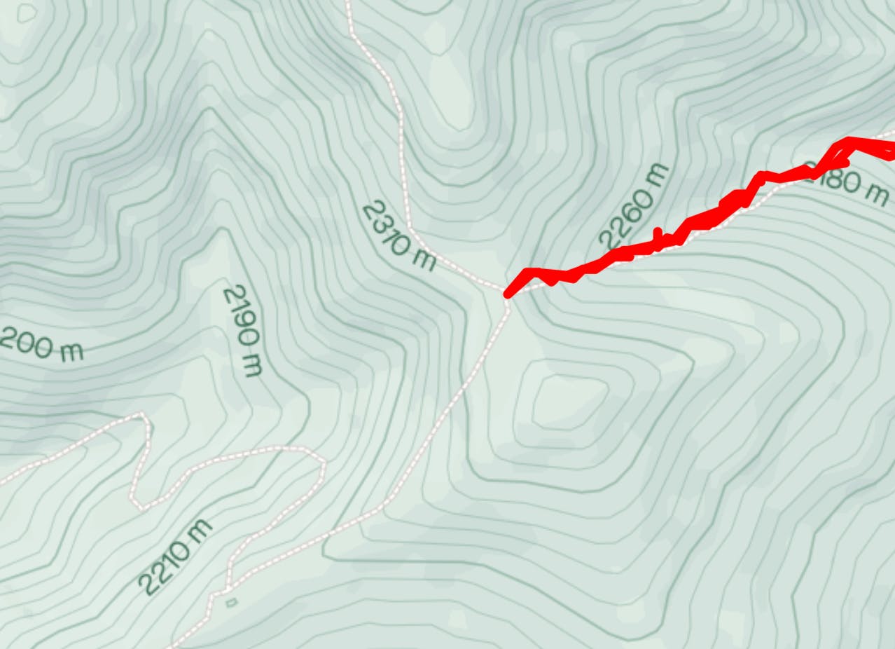 Screenshot from Strava, a workout app, showing my route in red and other nearby trails in white.