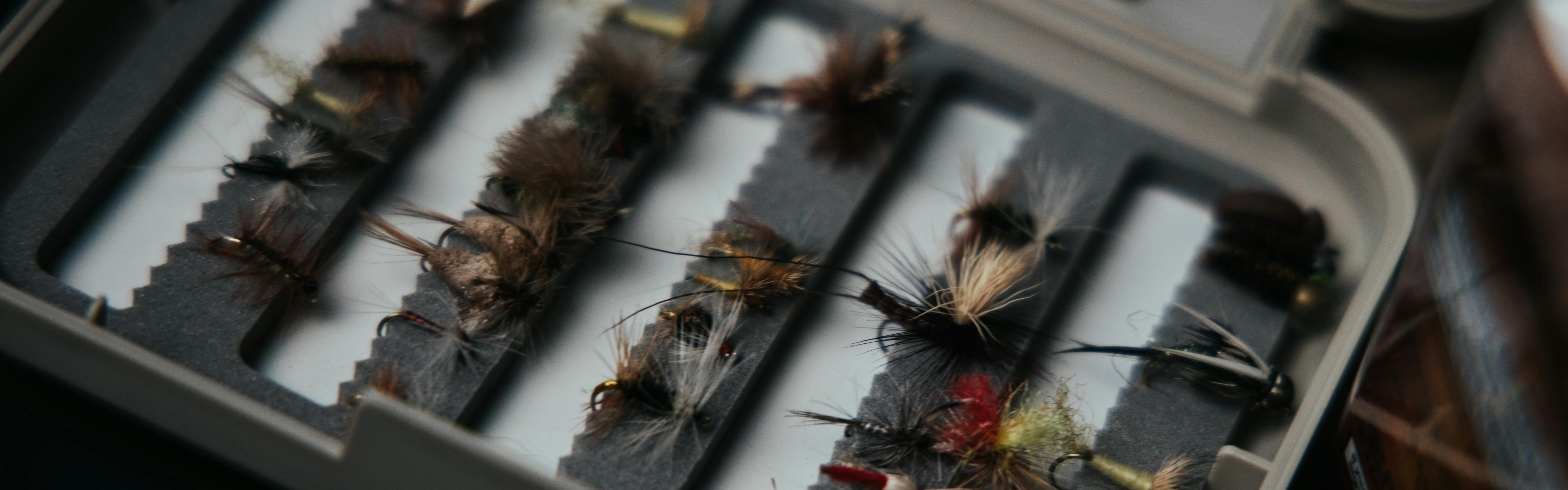 Creating Order in Your Fly Box: Fly Box Organization Guide(DVD