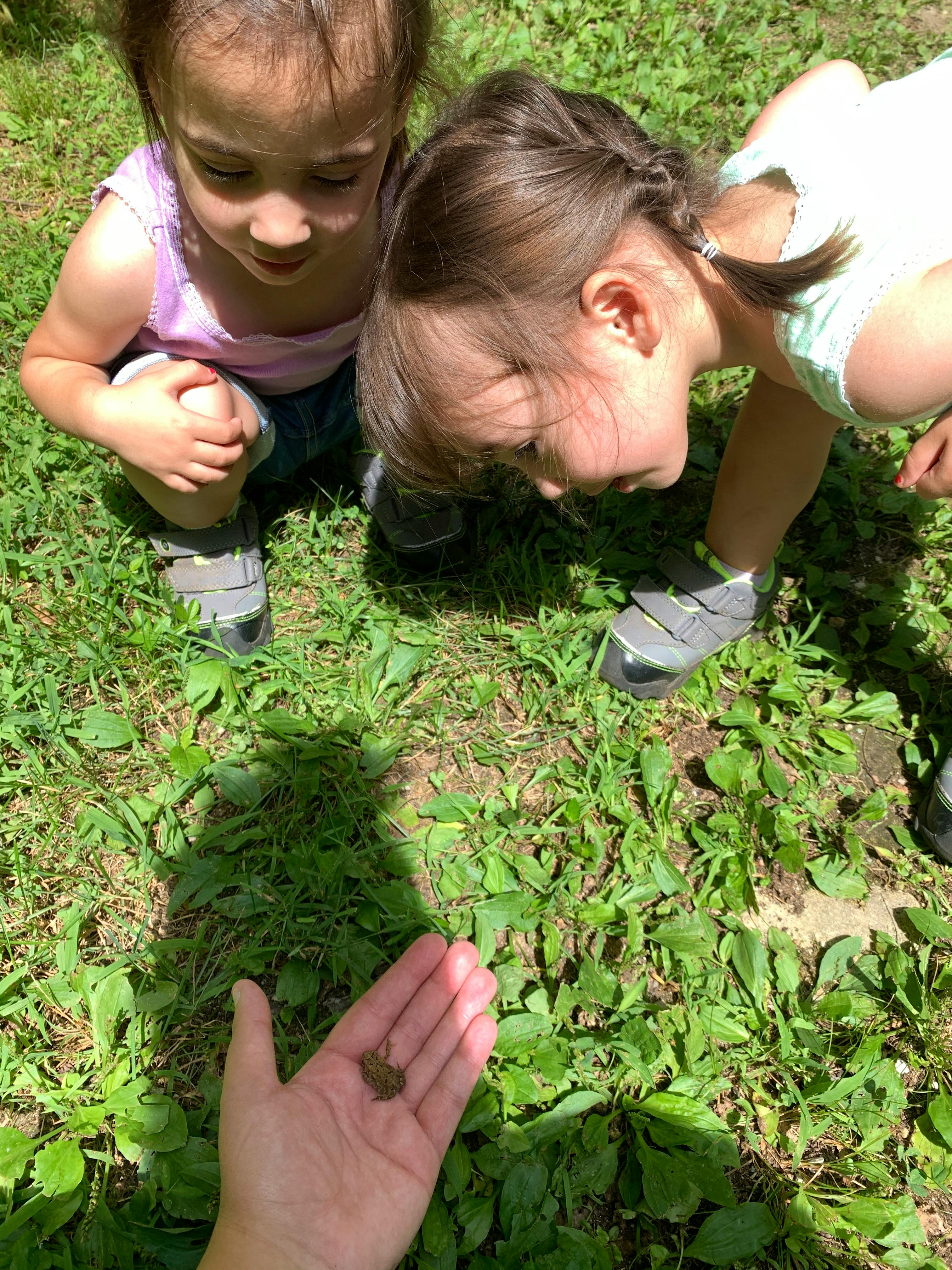 Two little girls lean forward to look at a tiny frog held in an outstretched hand