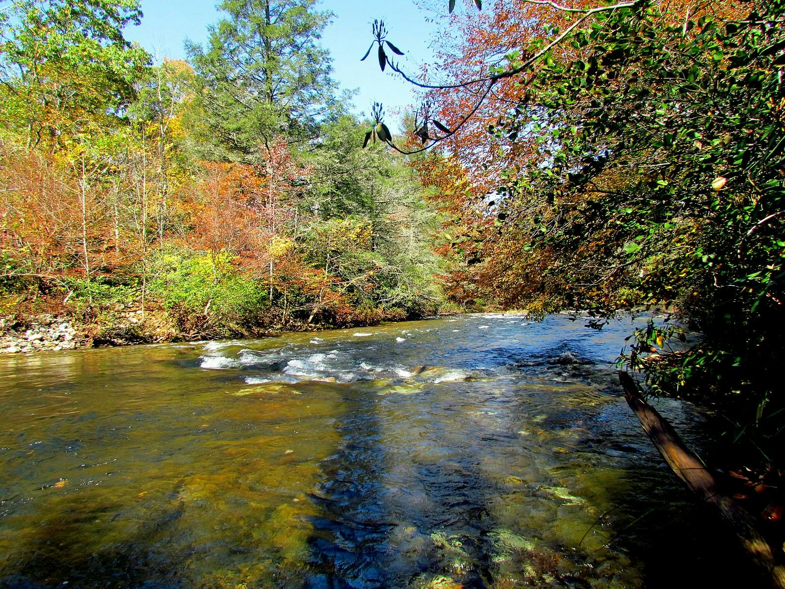 The South Toe River in autumn.