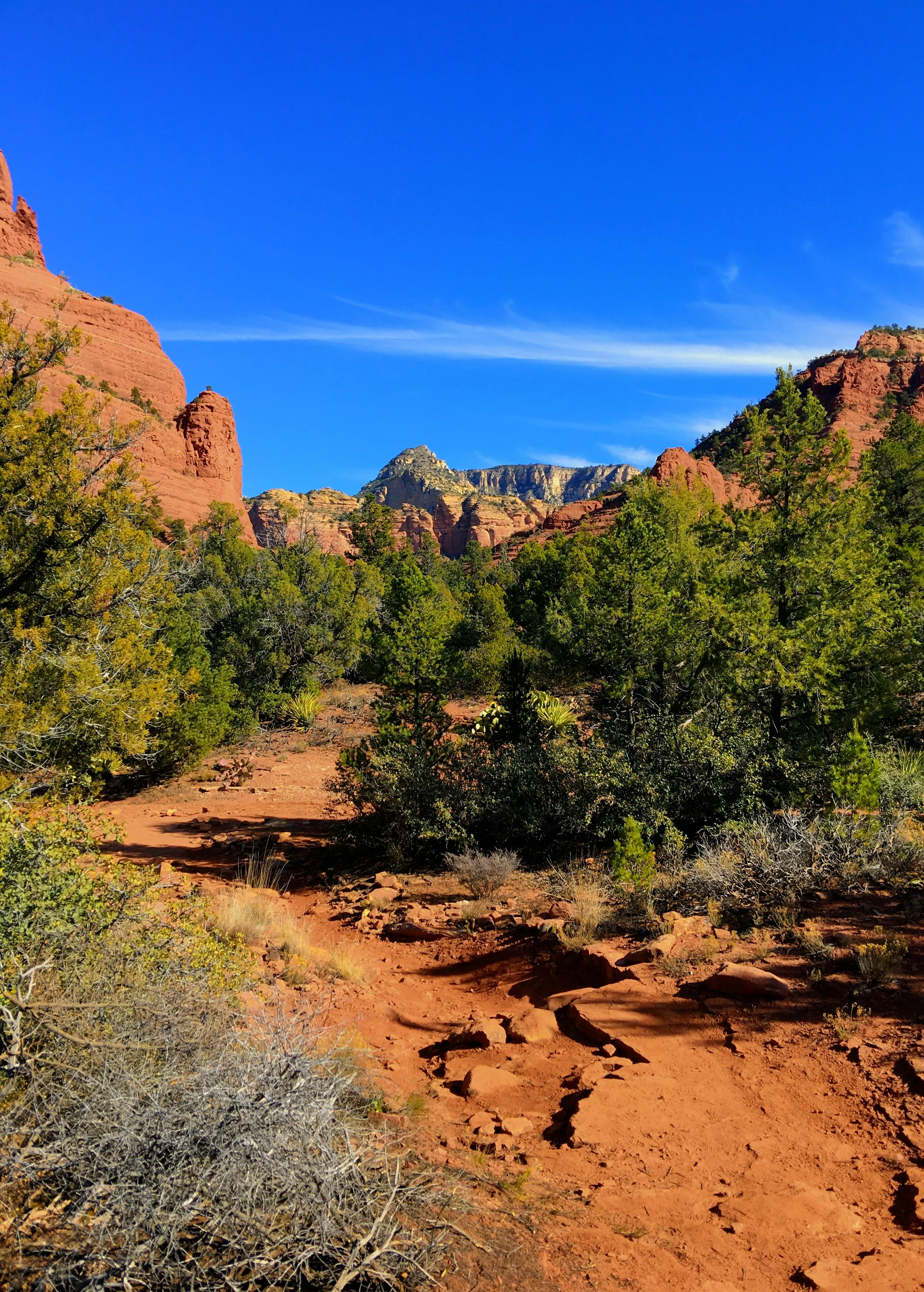 A trail through the Sedona, Arizona landscape.