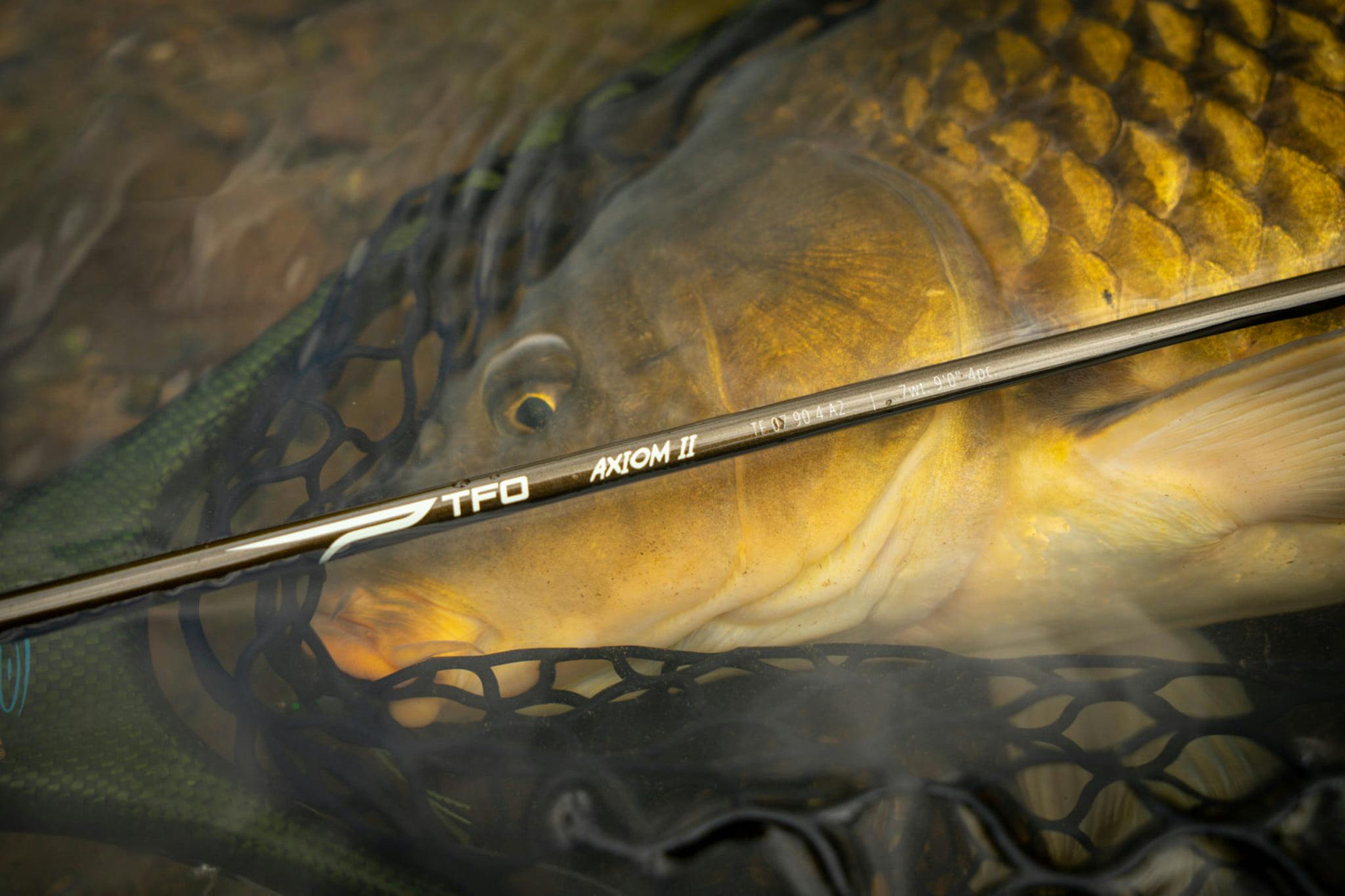 Temple Fork Outfitters Axiom II Fly Rod · 9' · 6 wt