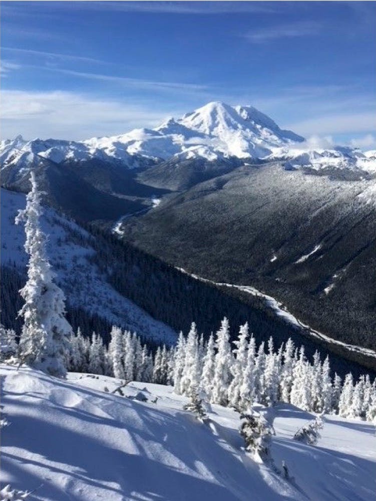 A snowy mountain in the distance with snowy trees in the foreground