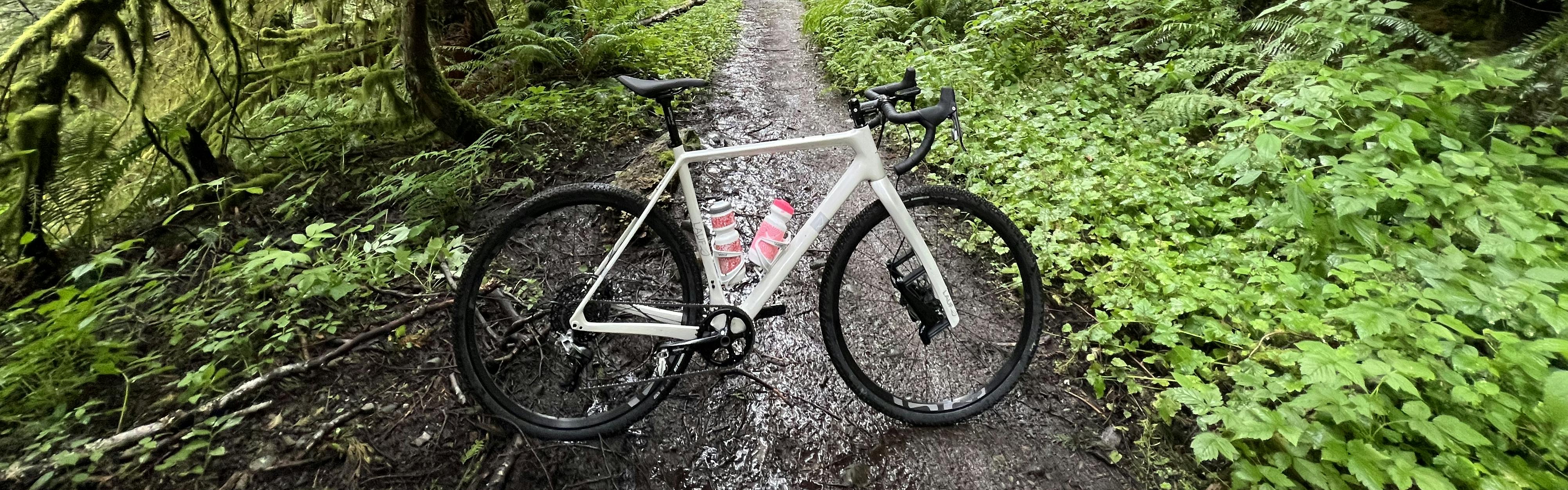 A white bike on a trail in the woods. 