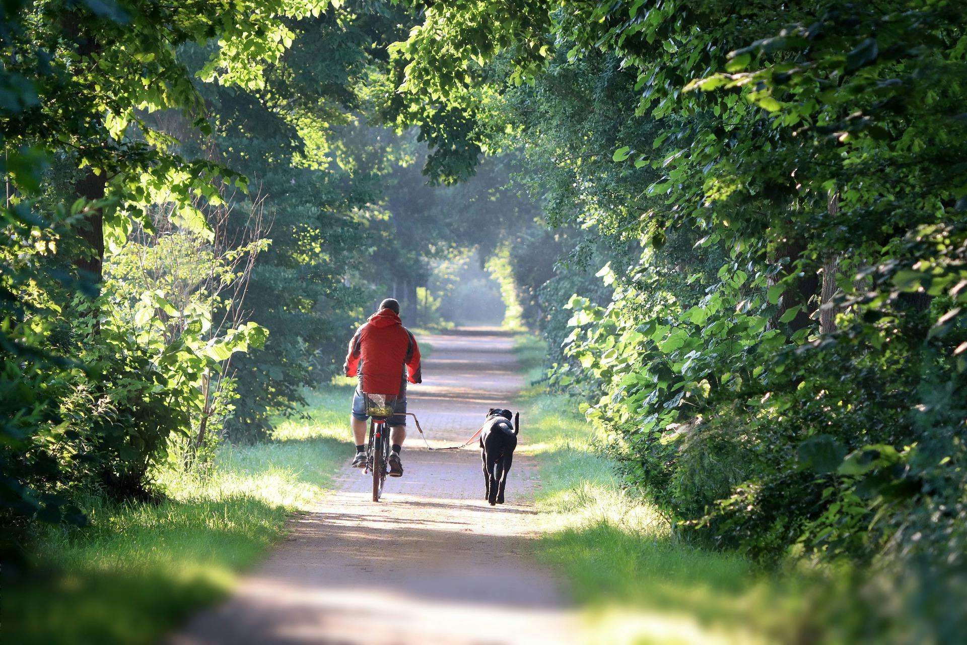 Main rides bike down a trail with dog next to him