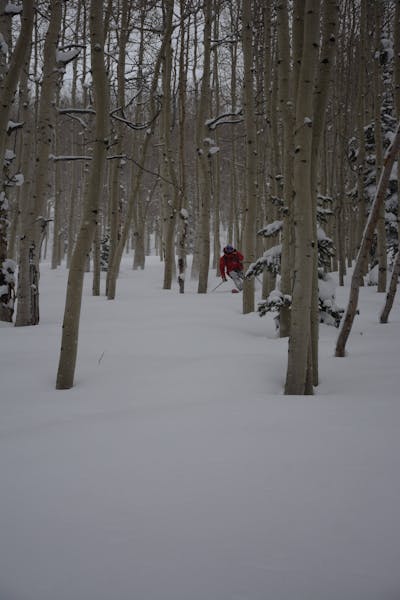 A skier turning through some trees. 