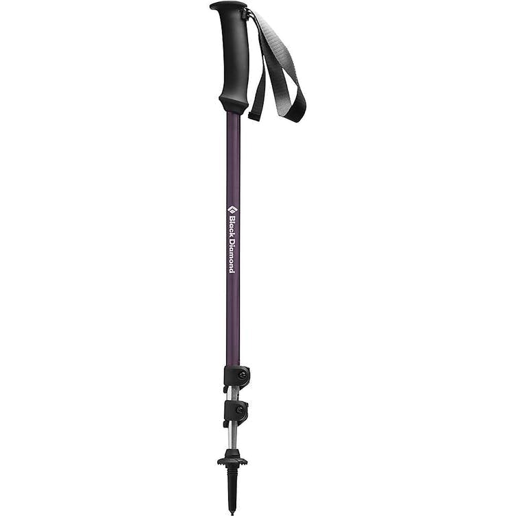 Short ski pole with a black handle.