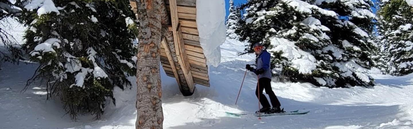 A skier standing under a ski feature.