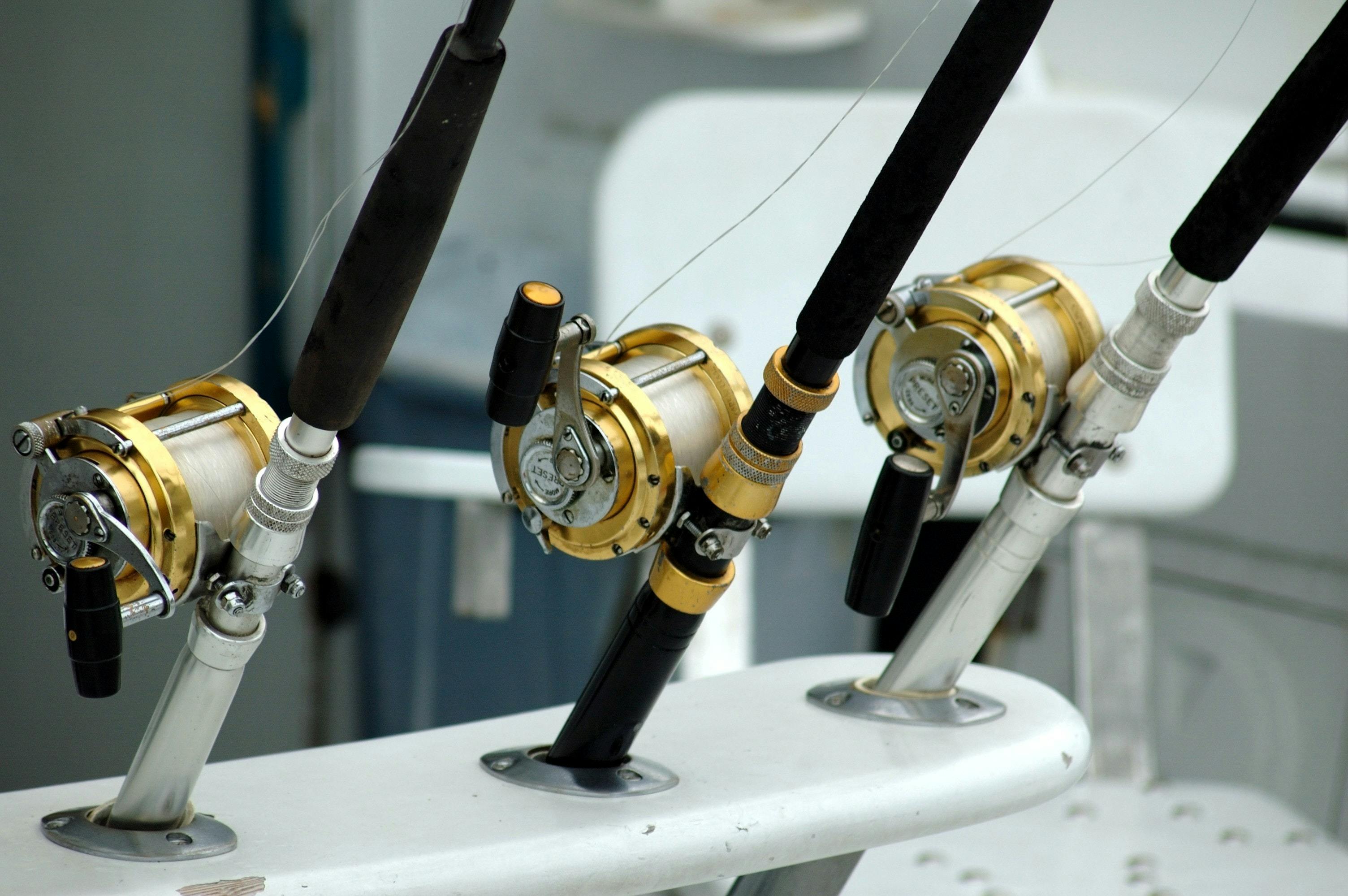 Three rods/reels are sitting next to each other in a holder and are strung with line. 