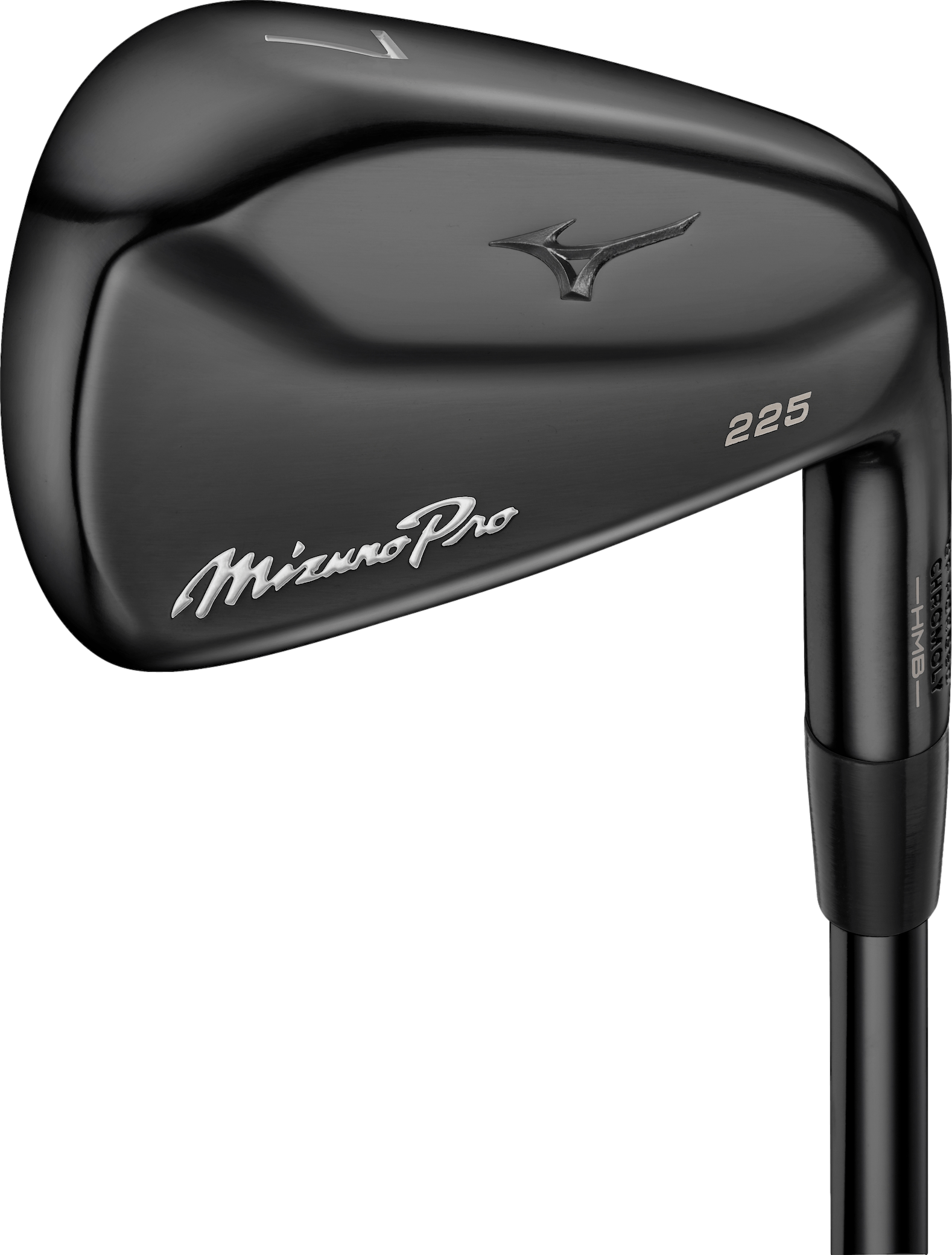 Mizuno Pro 225 Black Iron Set | Curated.com