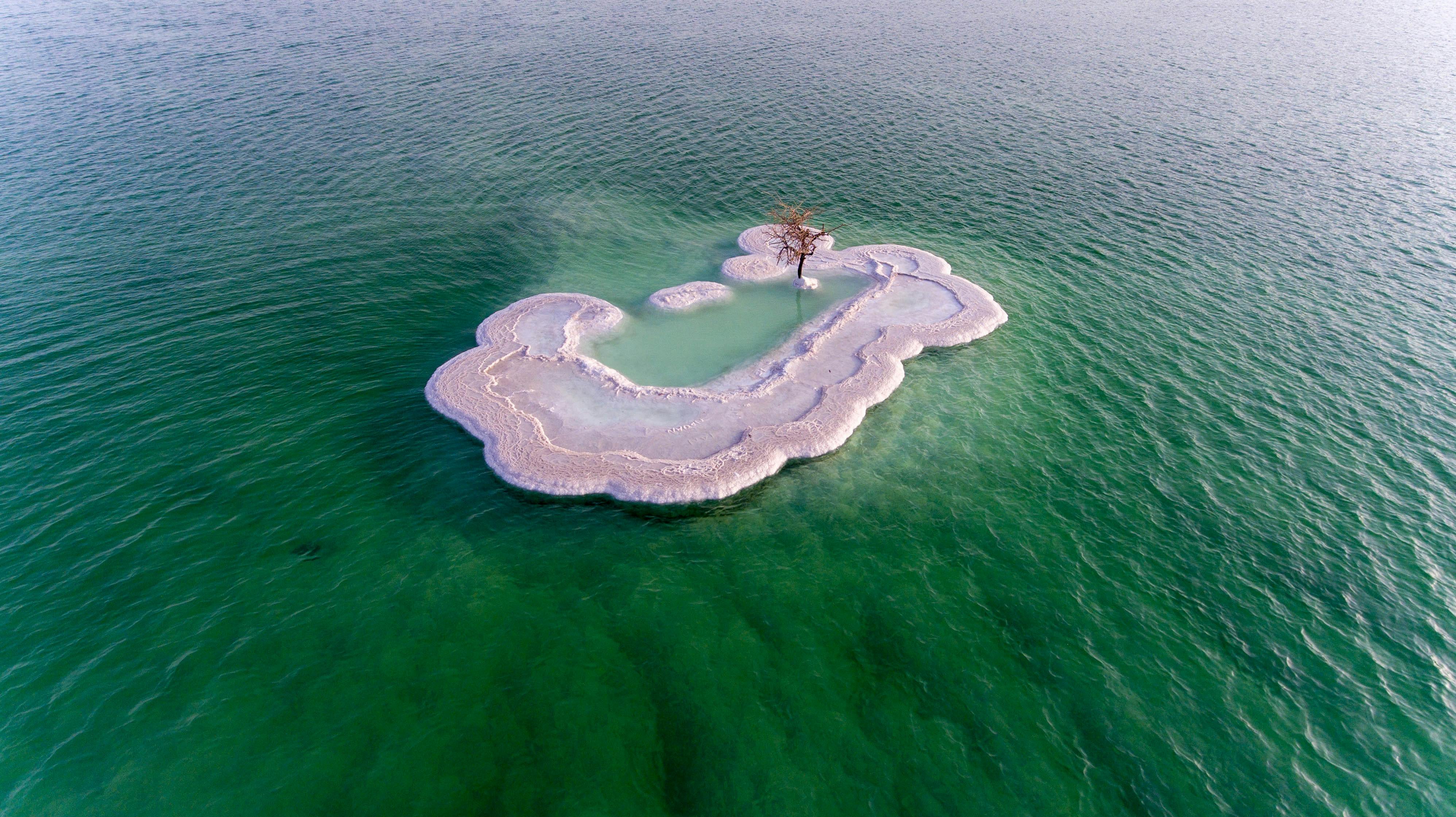 A white salt island with a tree in the Dead Sea