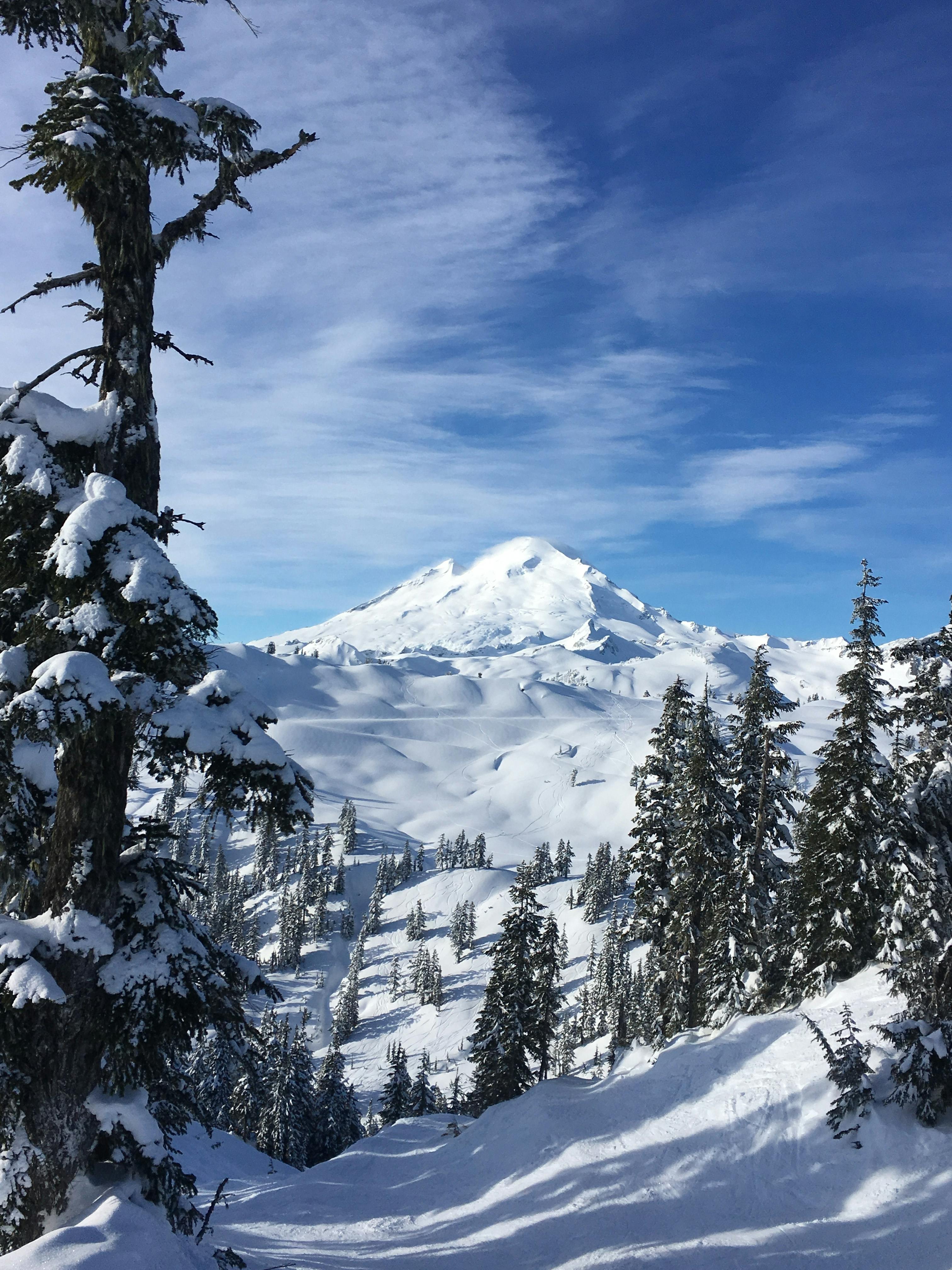 A view of Mt. Baker from the ski area. 