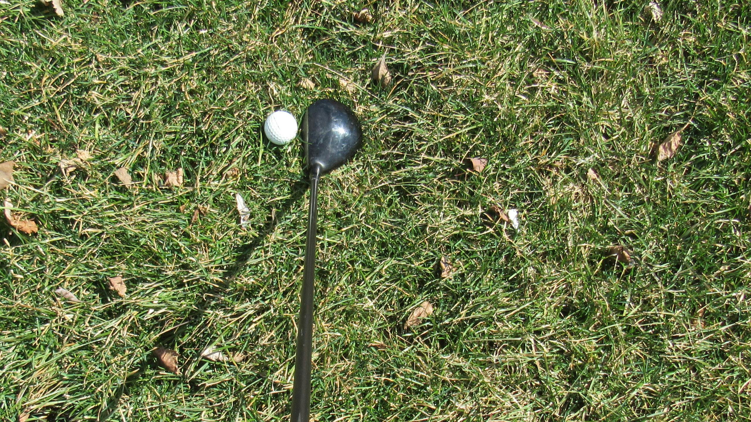 A fairway wood is positioned next to a golf ball. 