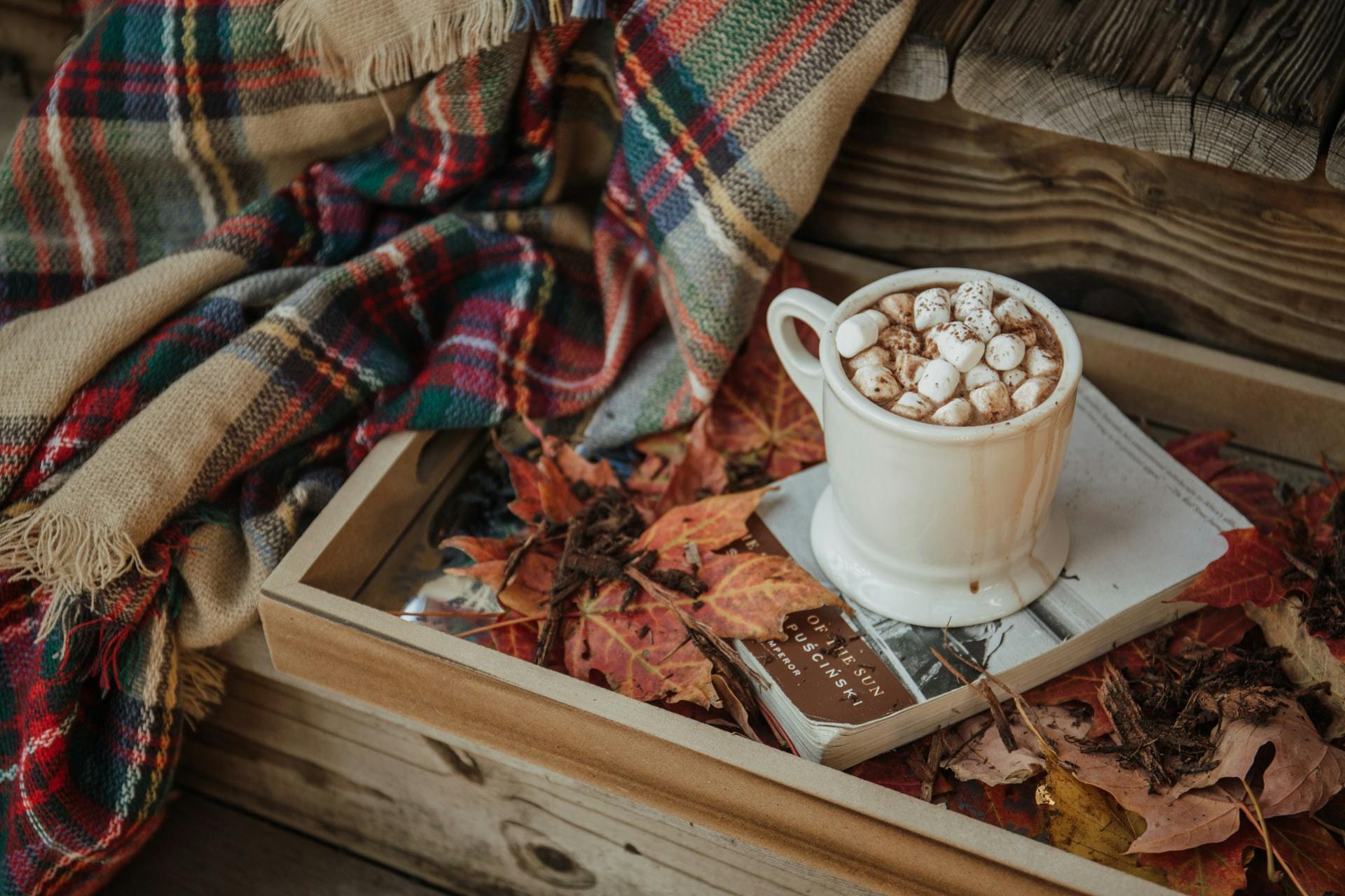 A blanket with a cup of hot chocolate and marshmellows. The cup is sitting on top of a book and there are leaves around.