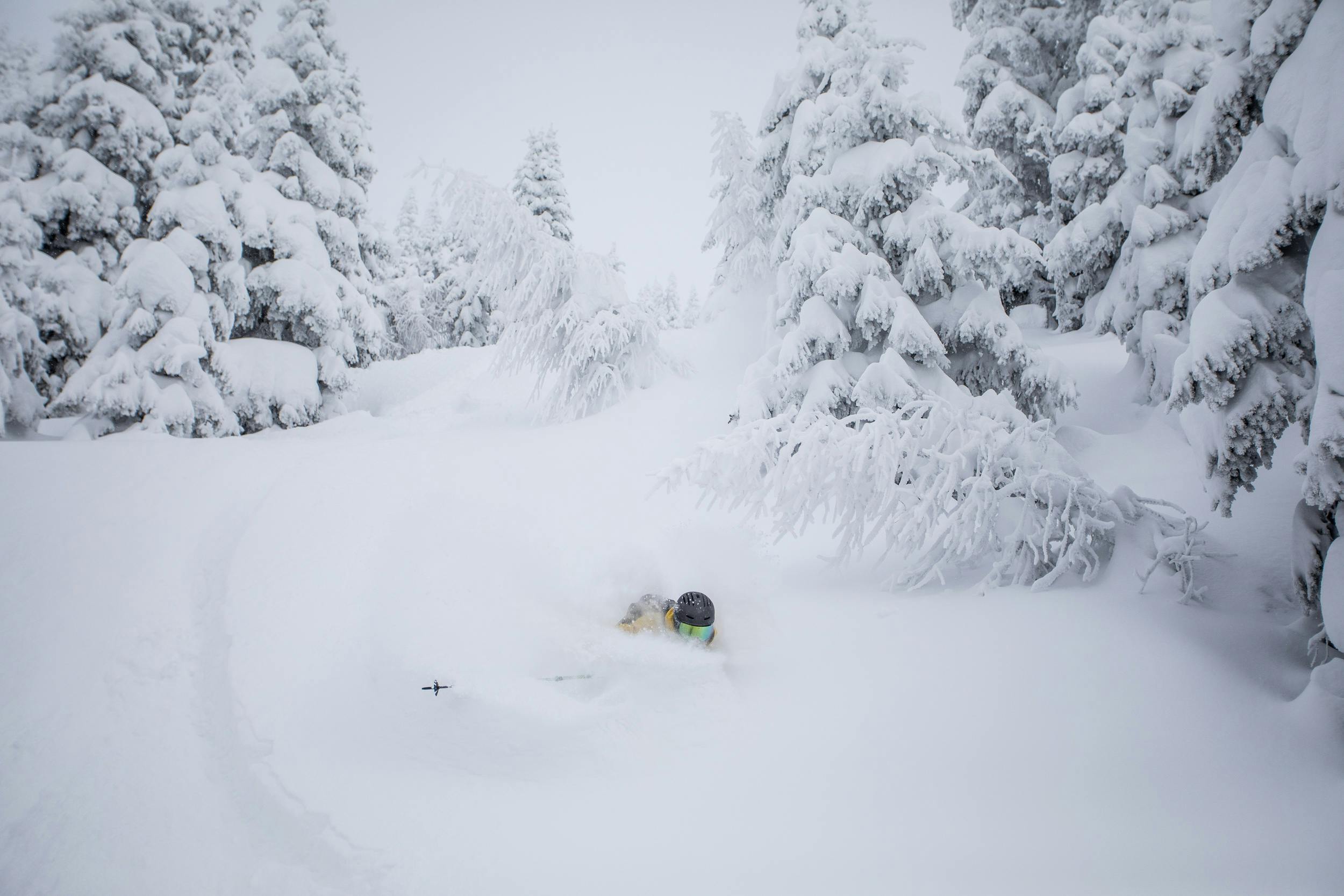 Skier skiing in deep powder with only his helmet visible in the white fluff.