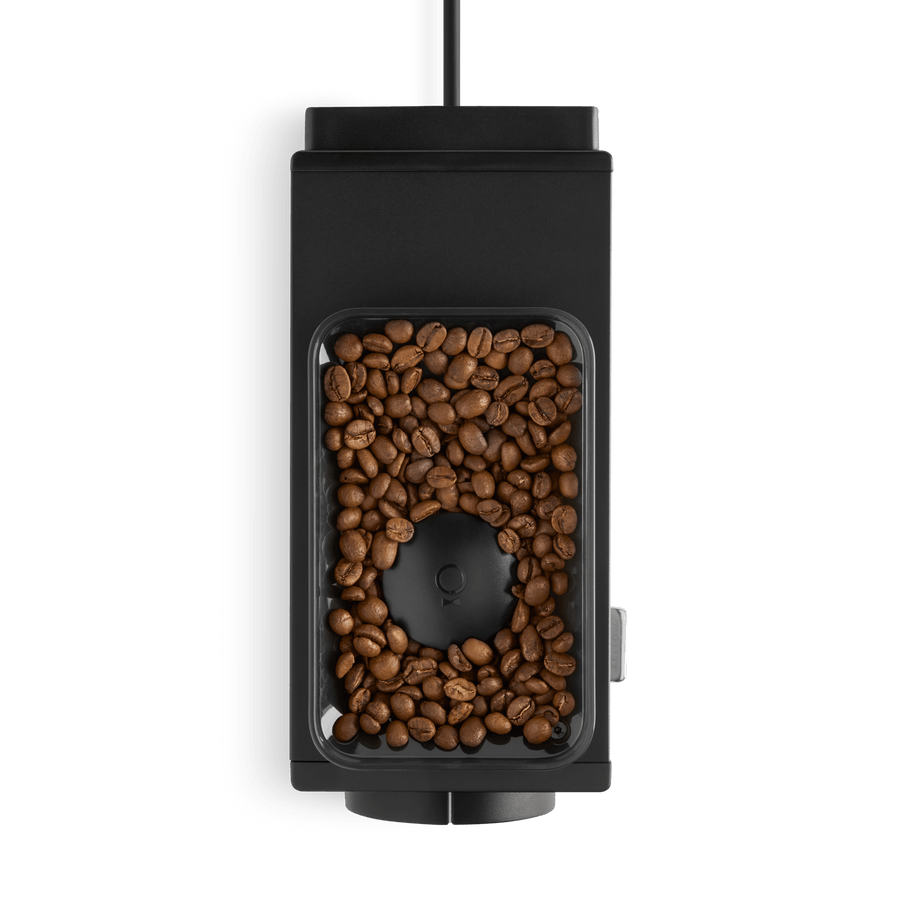 Ballad Of The Bird Dog - Brew Grinder | Ode Brew Grinder - Coffee - Coffee Grinder - Coffee Supplies