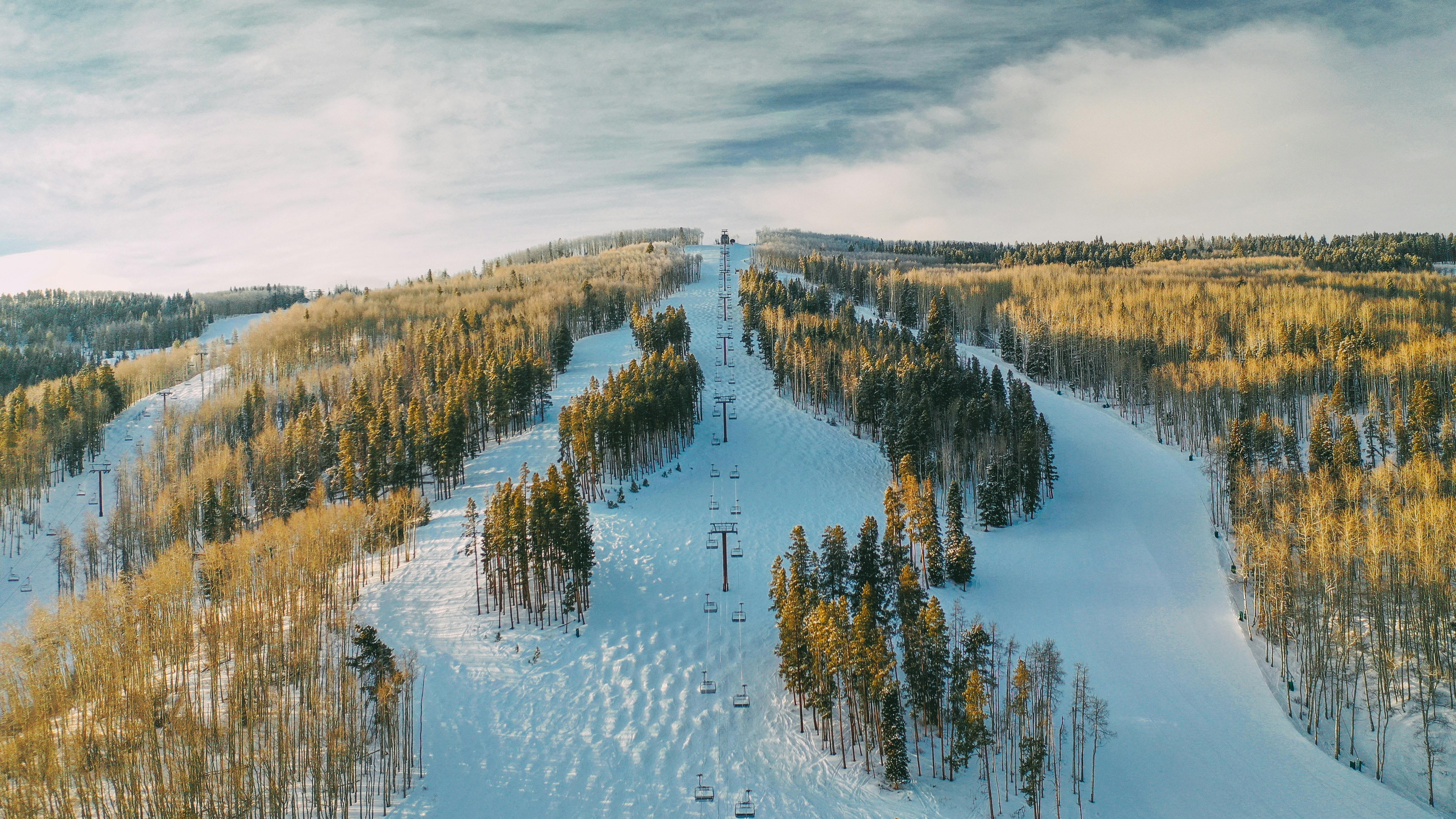 Aerial view of a ski run with trees on either side.
