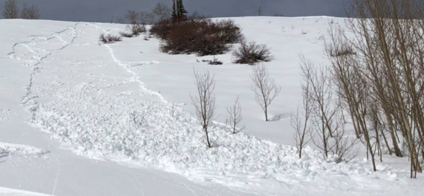 Loose snow avalanche as can be seen by the chunky snow and runout path.