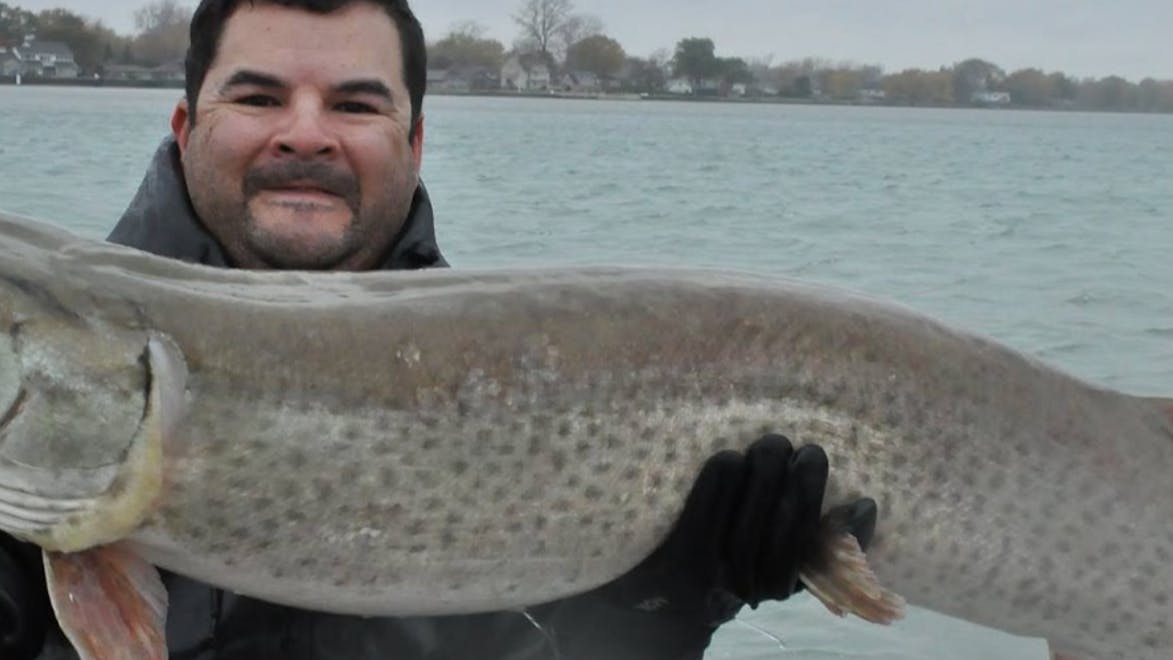 The author, a man with dark hair and a mustache, holds up a massive Muskie. It is at least 5 ft long.