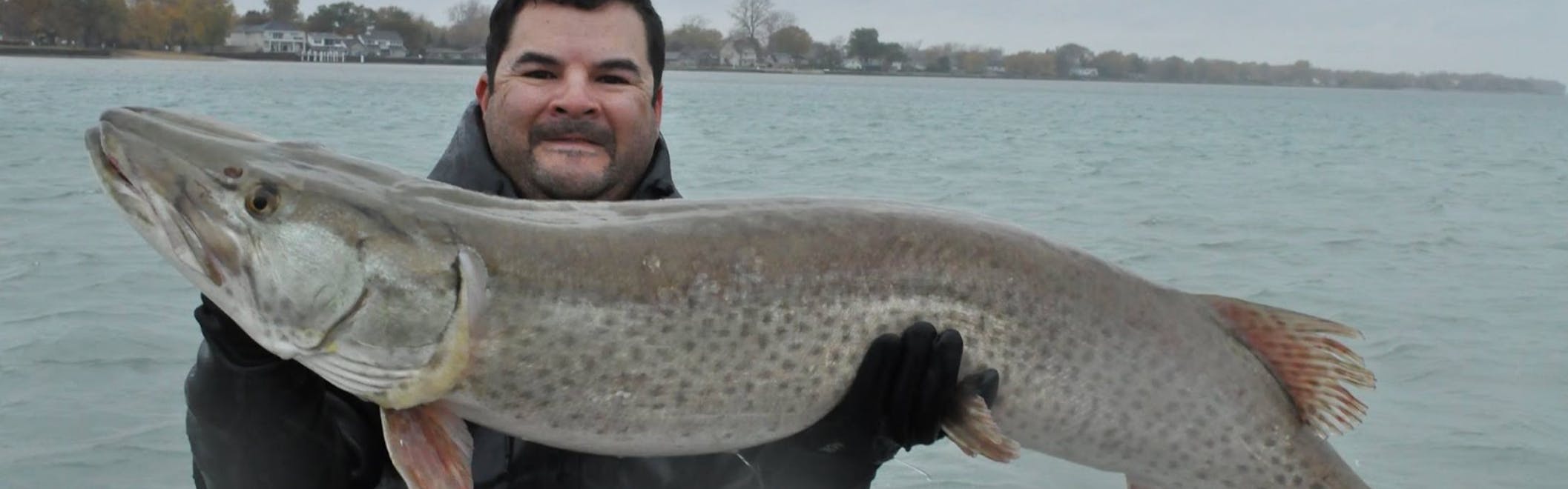The author, a man with dark hair and a mustache, holds up a massive Muskie. It is at least 5 ft long.