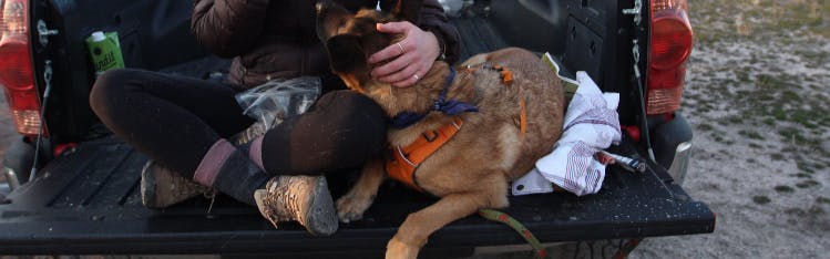A woman sitting on a tailgate. A dog is looking at her and she is wearing the Moab Merrell shoes. 