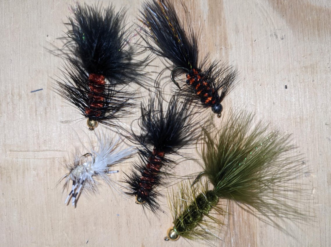 Wolly bugger flies.