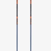 Salomon Arctic S3 Ski Poles · 2023