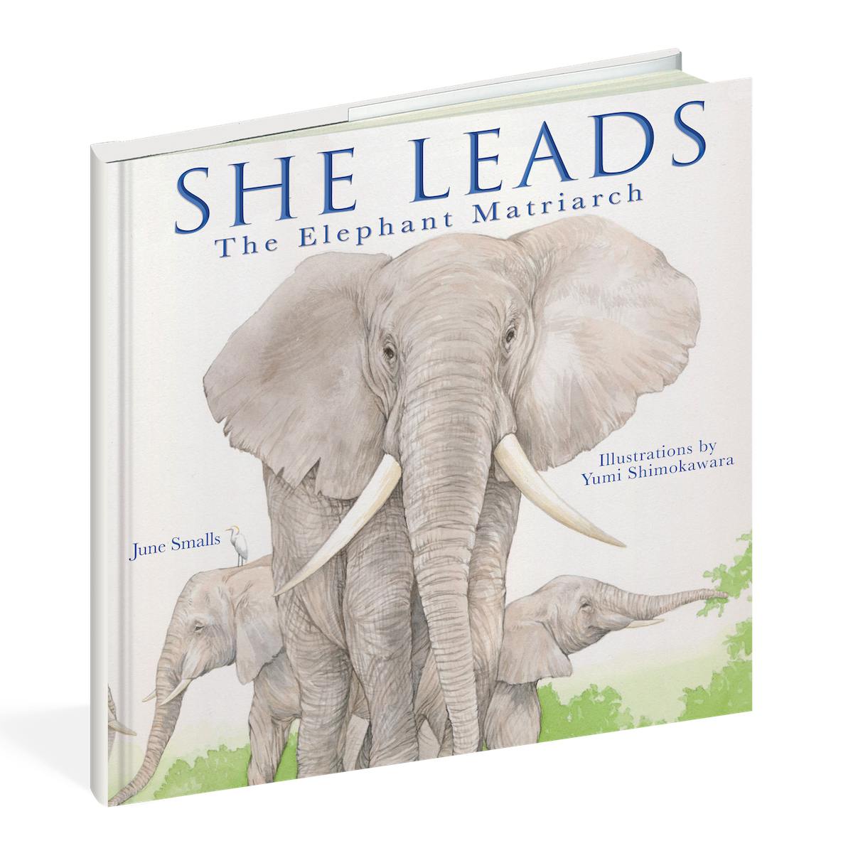 Workman Publishing She Leads: The Elephant Matriarch