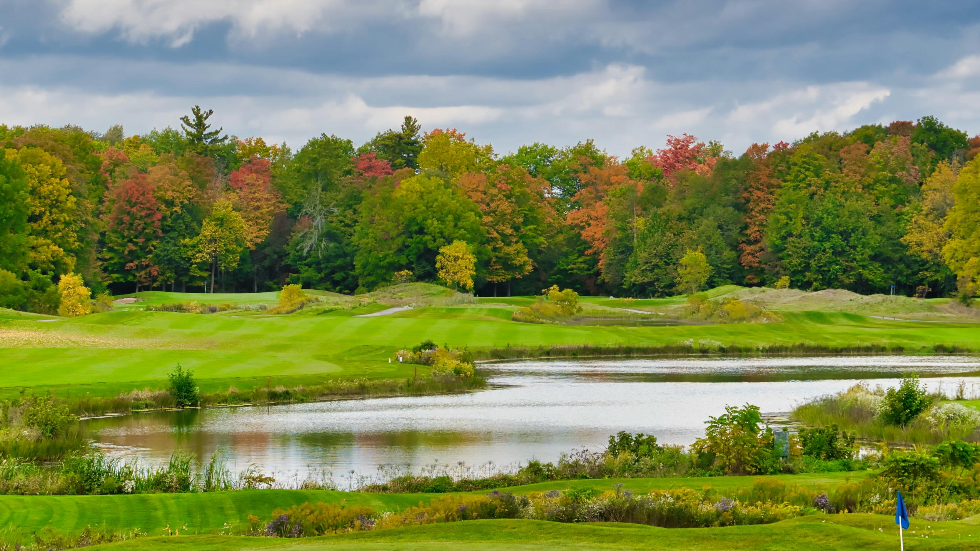 A landscape of a golf course in the autumn with the trees rimming the course turning colors. 