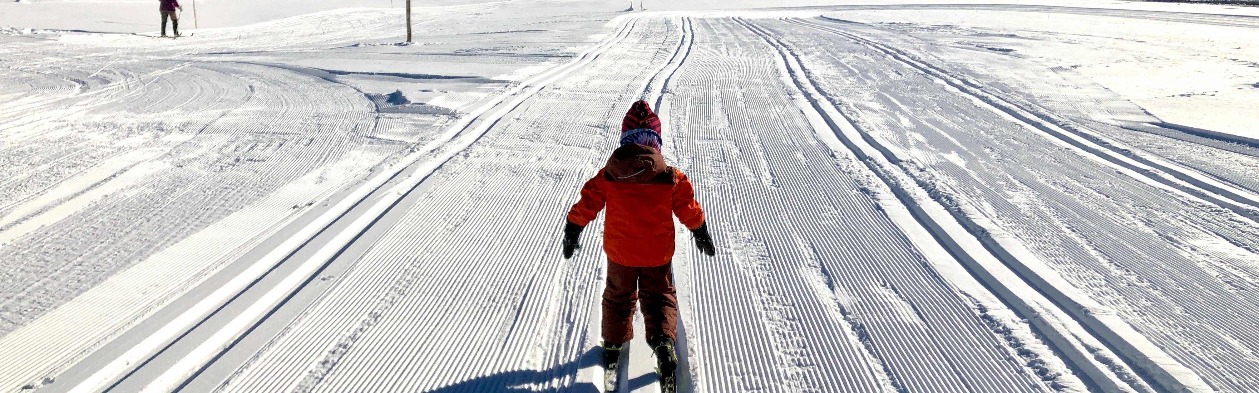 Young child cross country skis along a groomed track. He is wearing a red jacket.