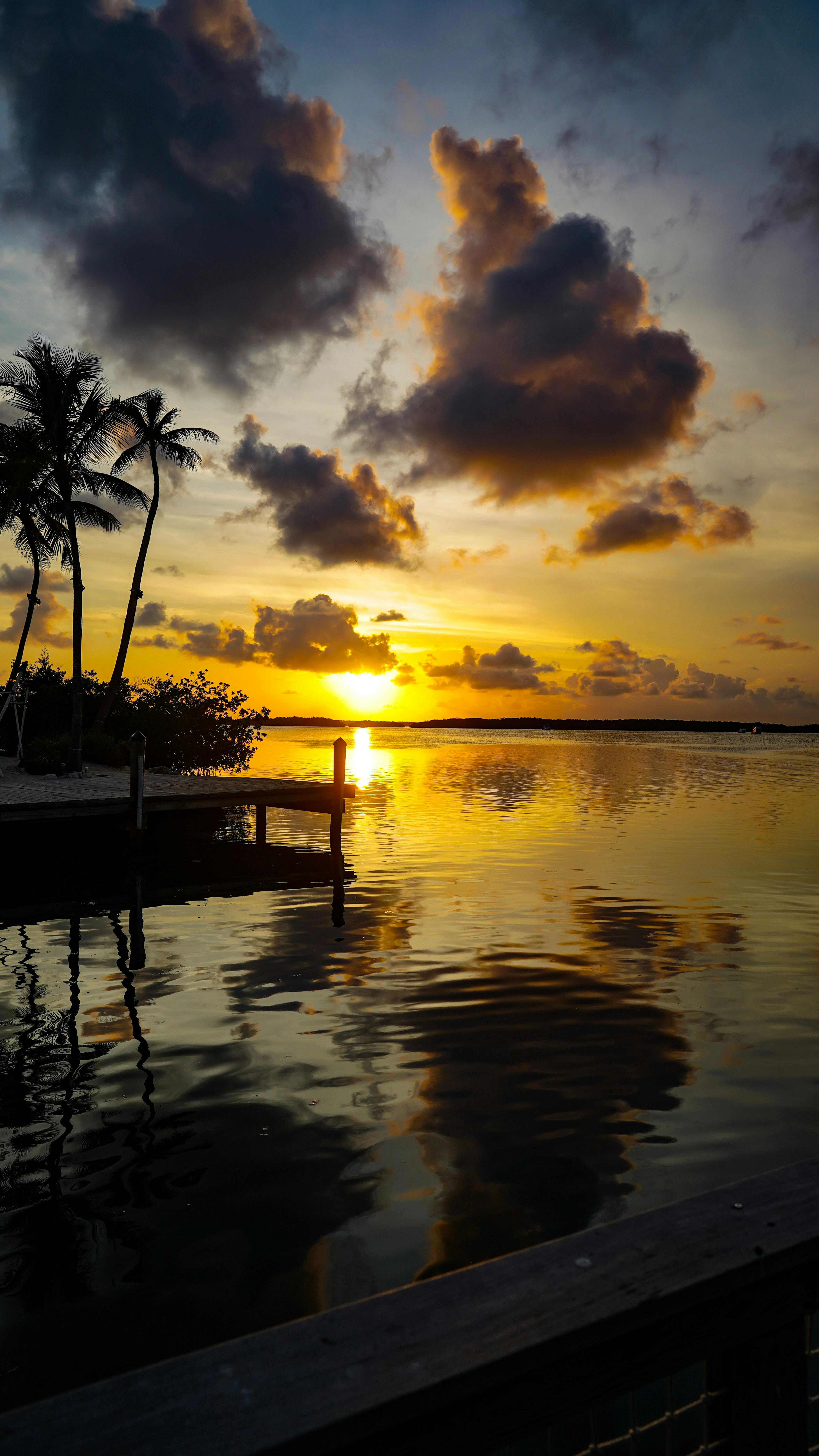 An image taken at sunset with the sun just dipping below the horizon. Palm trees and a dock are silhouetted. 