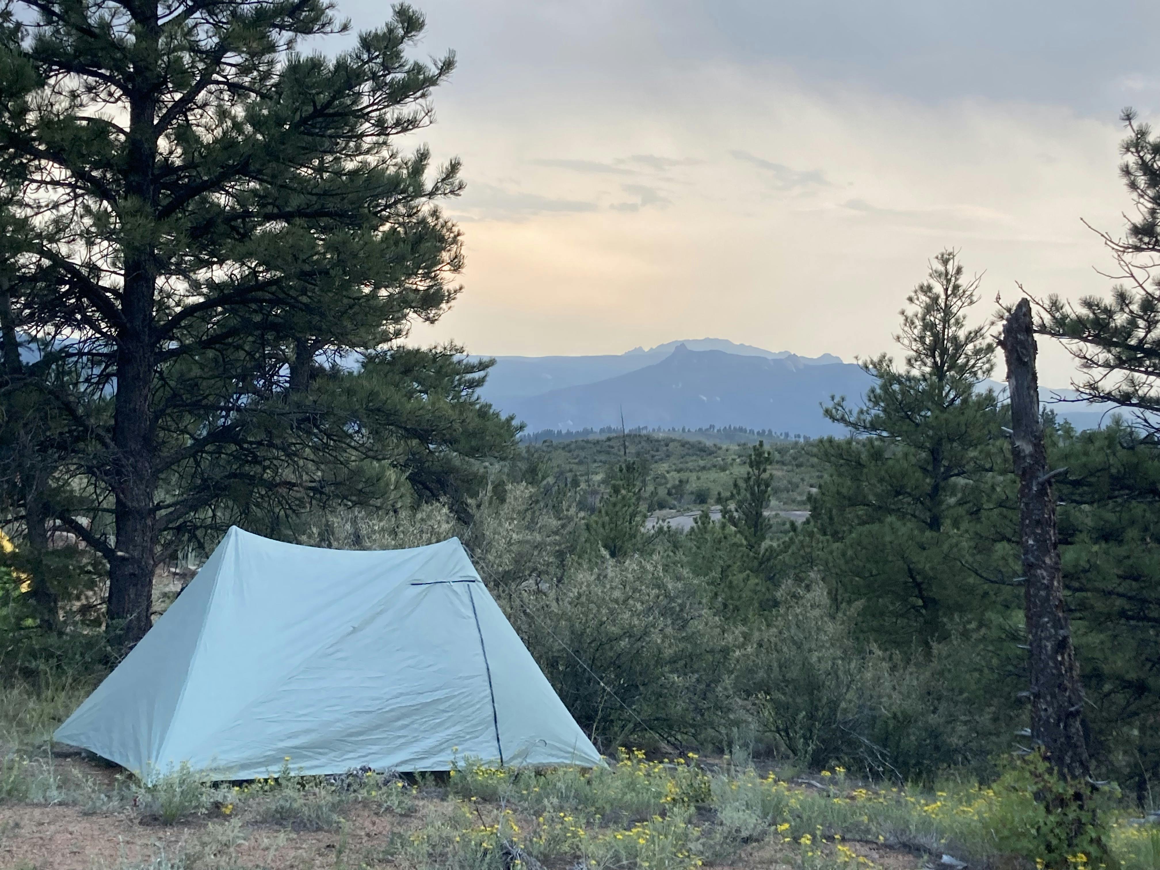 A tent in some trees with mountains in the background.