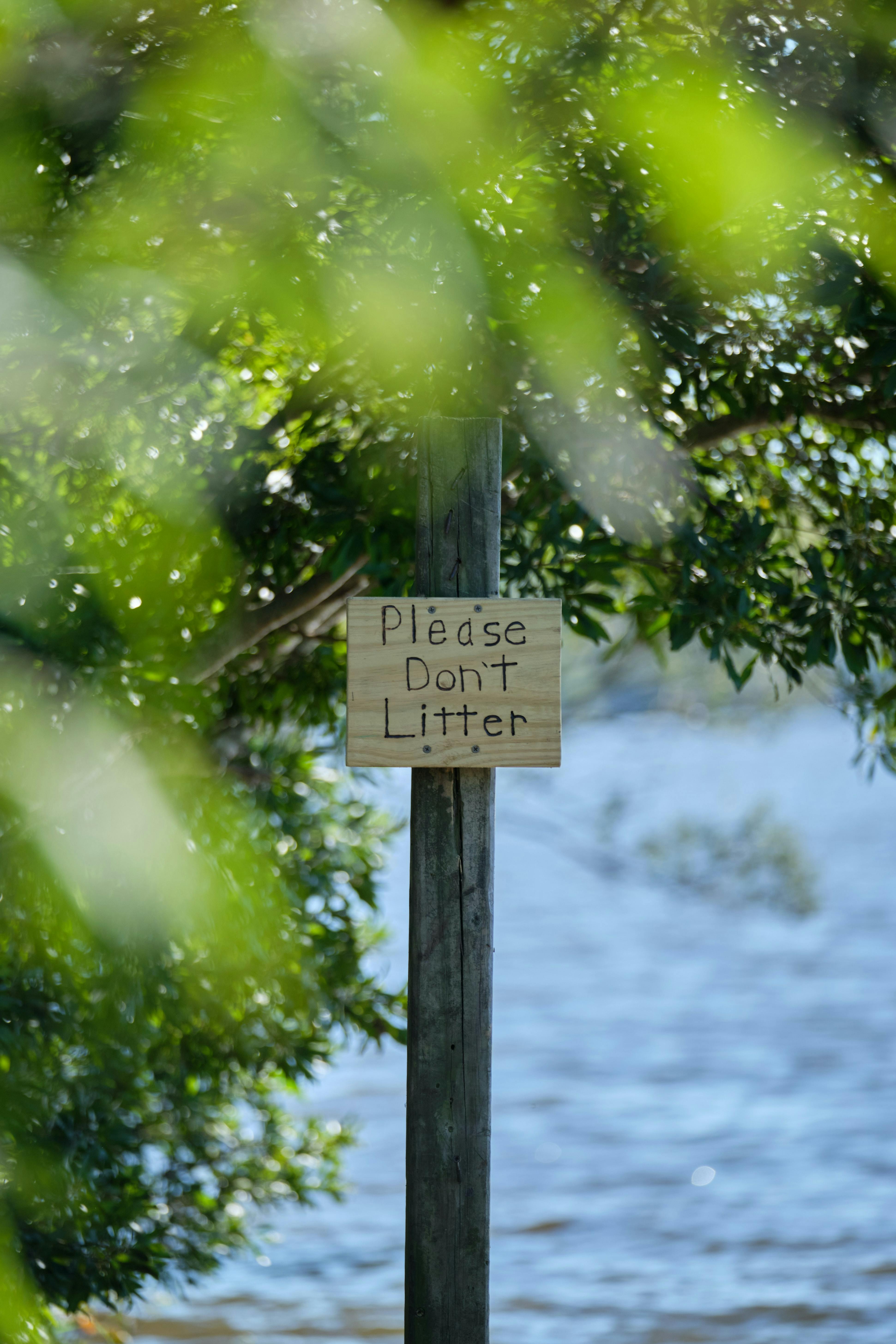 A sign in front of a body of water reads "Please Don't Litter." It is partially covered by green tree branches. 