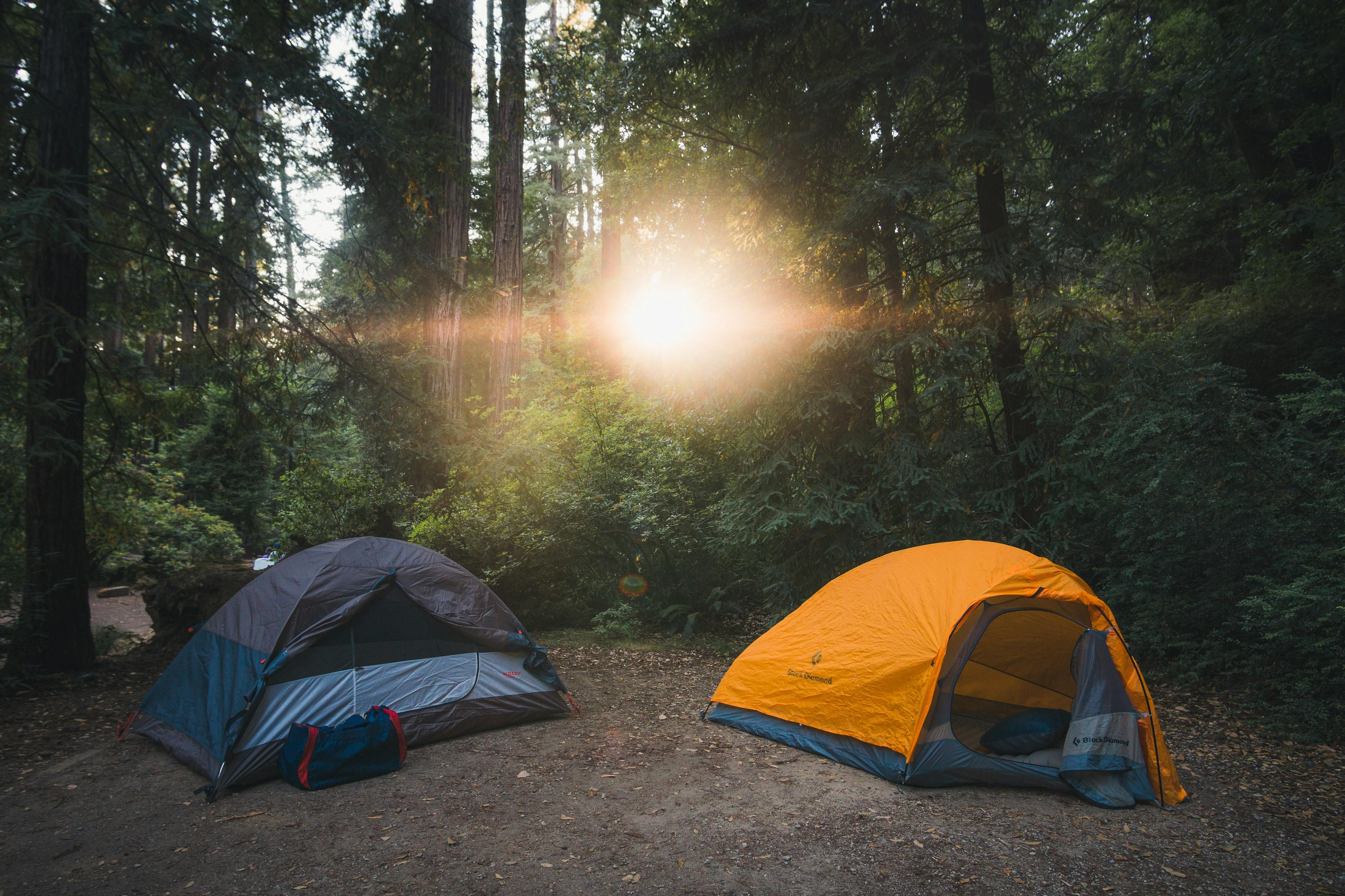 Two tents in a forest clearing at sunrise