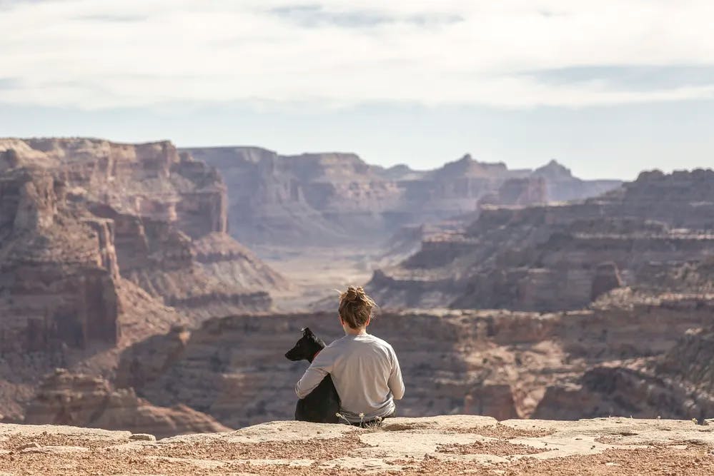 A woman and her dog sitting at the top of the Grand Canyon. 