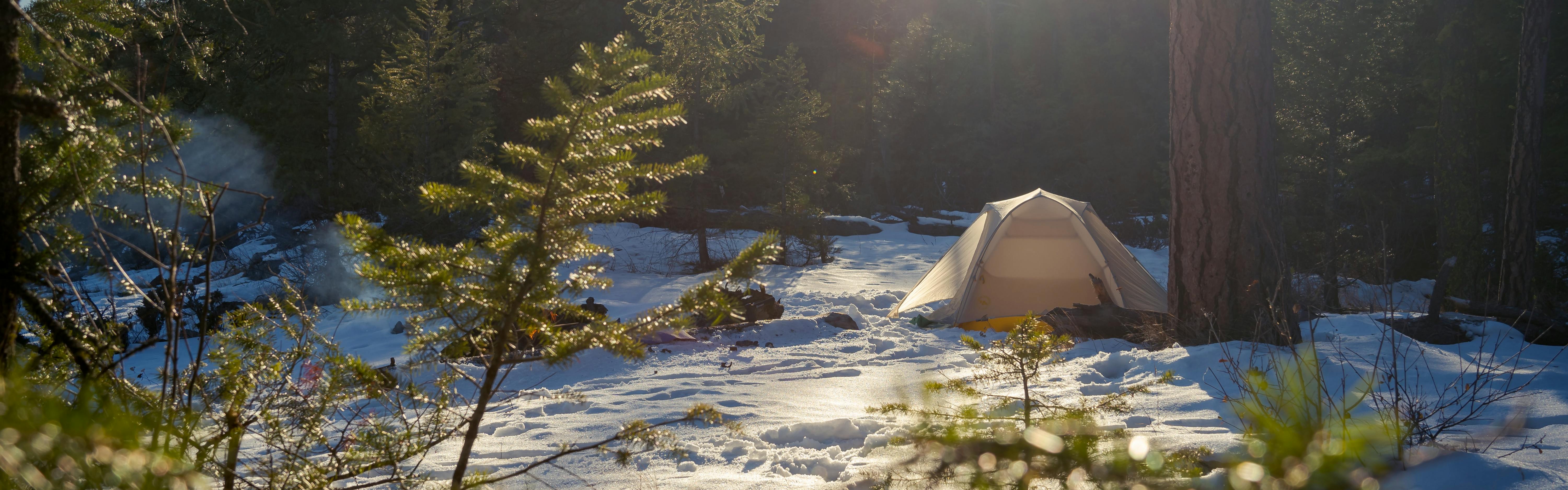 Camping in the forest in the winter