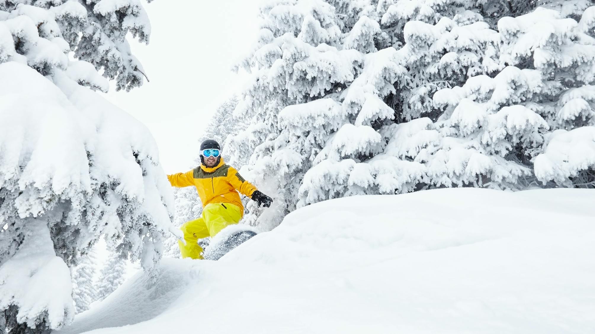 A snowboarder riding between two snowy trees. He is wearing a yellow jacket and yellow snowpants. 