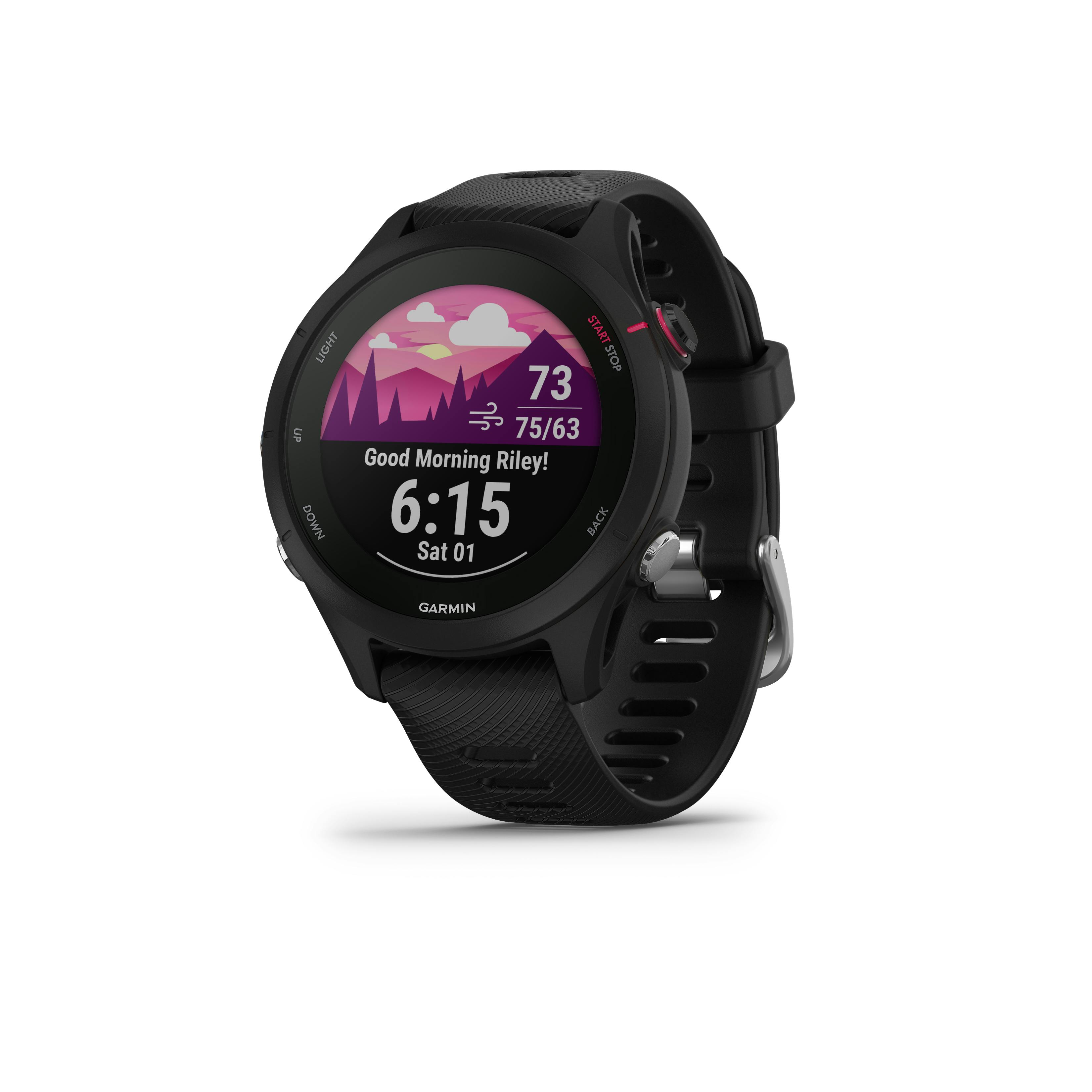 Garmin forerunner 245 hiking hot sale