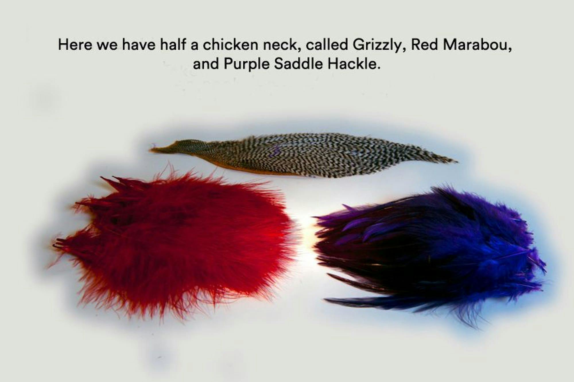 Three tufts of feathers sit on a white background. On the left, is a red tuft. In the middle and above the two others is a speckled black and white tuft. On the right is a deep purple tuft. The text reads, "Here we have half a chicken next, called Grizzly, Red Marabou, and Purple Saddle Hackle."