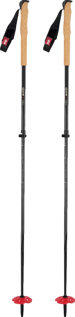 DPS Ultralight Carbon Ski Poles · 2023