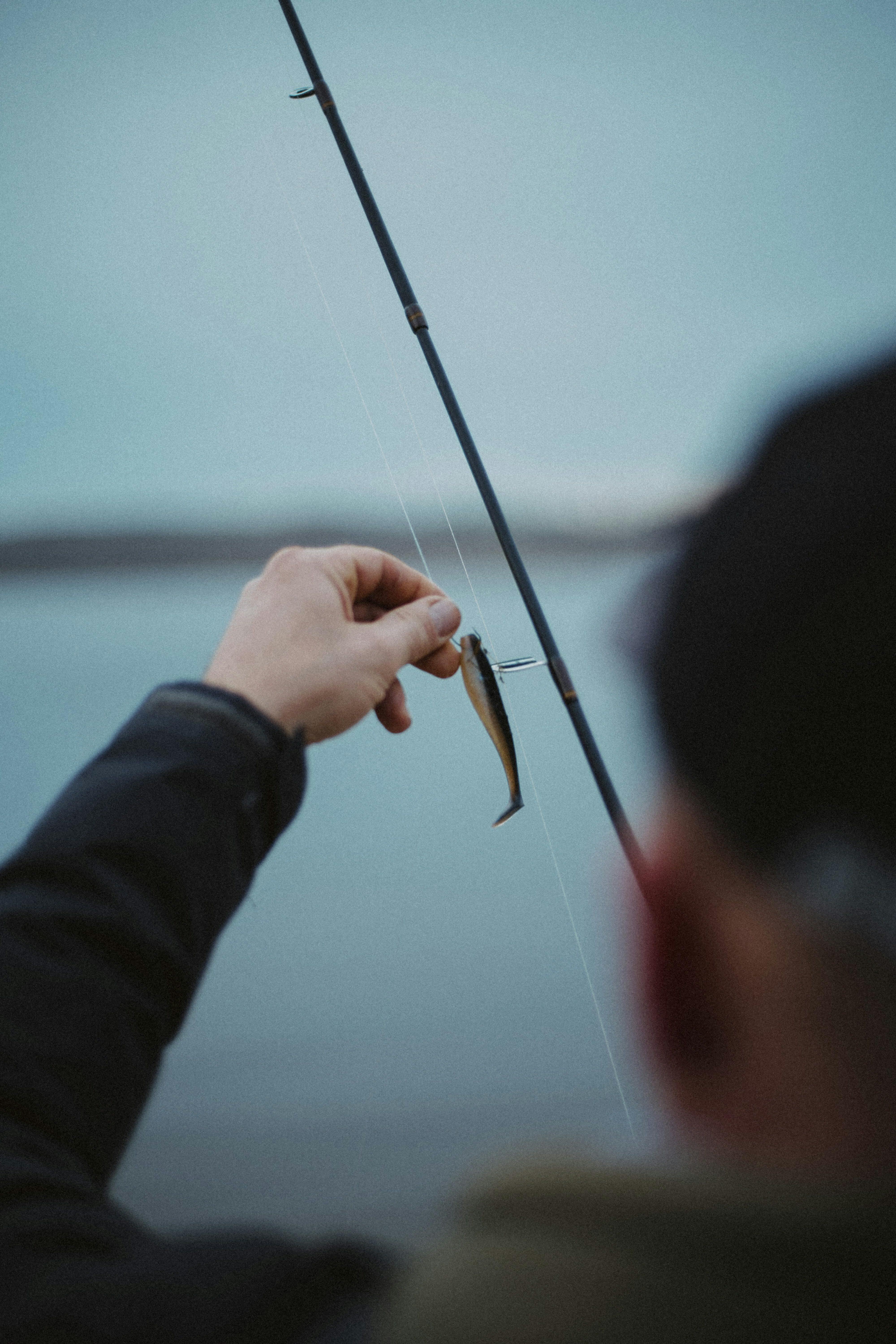 A fisherman holds his fishing rod with a small fish on it. 
