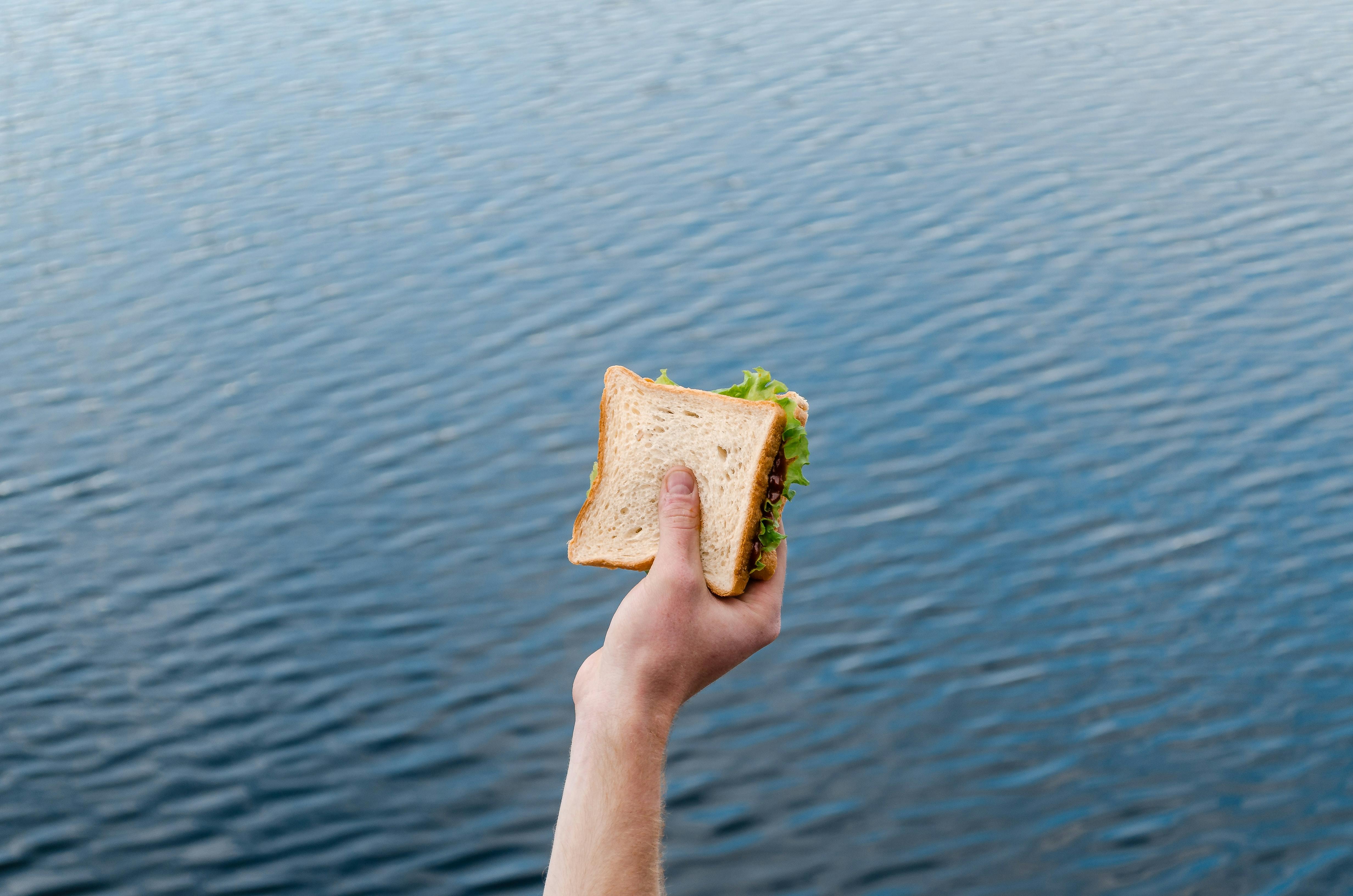 A hand holding up a sandwich with a body of water in the background.